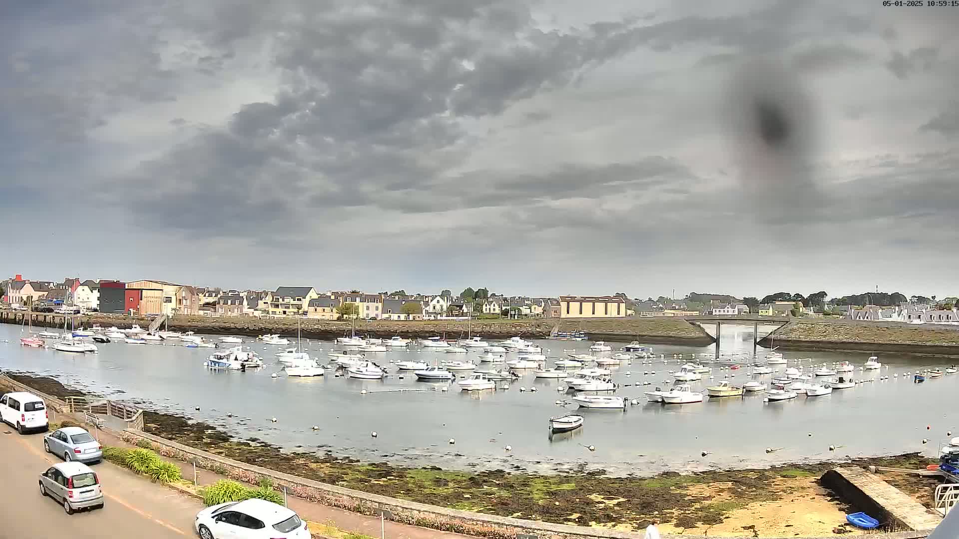 A harbor filled with numerous small boats is situated in front of a town under a cloudy sky.