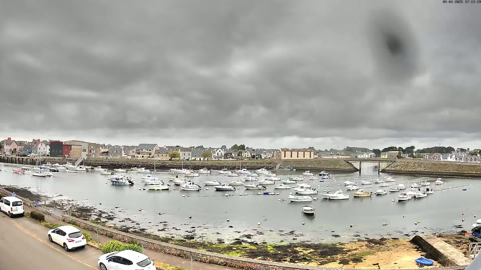 A harbor filled with numerous small boats is situated under a heavily overcast sky, with a town visible in the background.