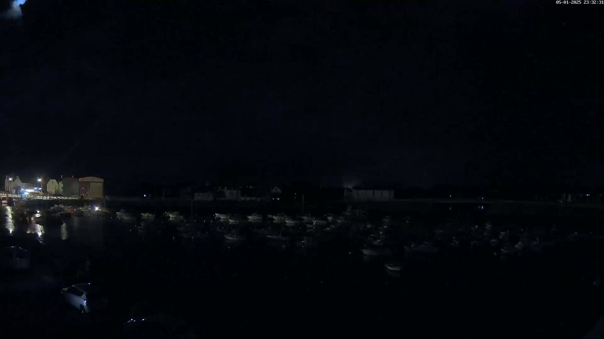 A nighttime view of a harbor filled with numerous boats, under a dark, clear sky.