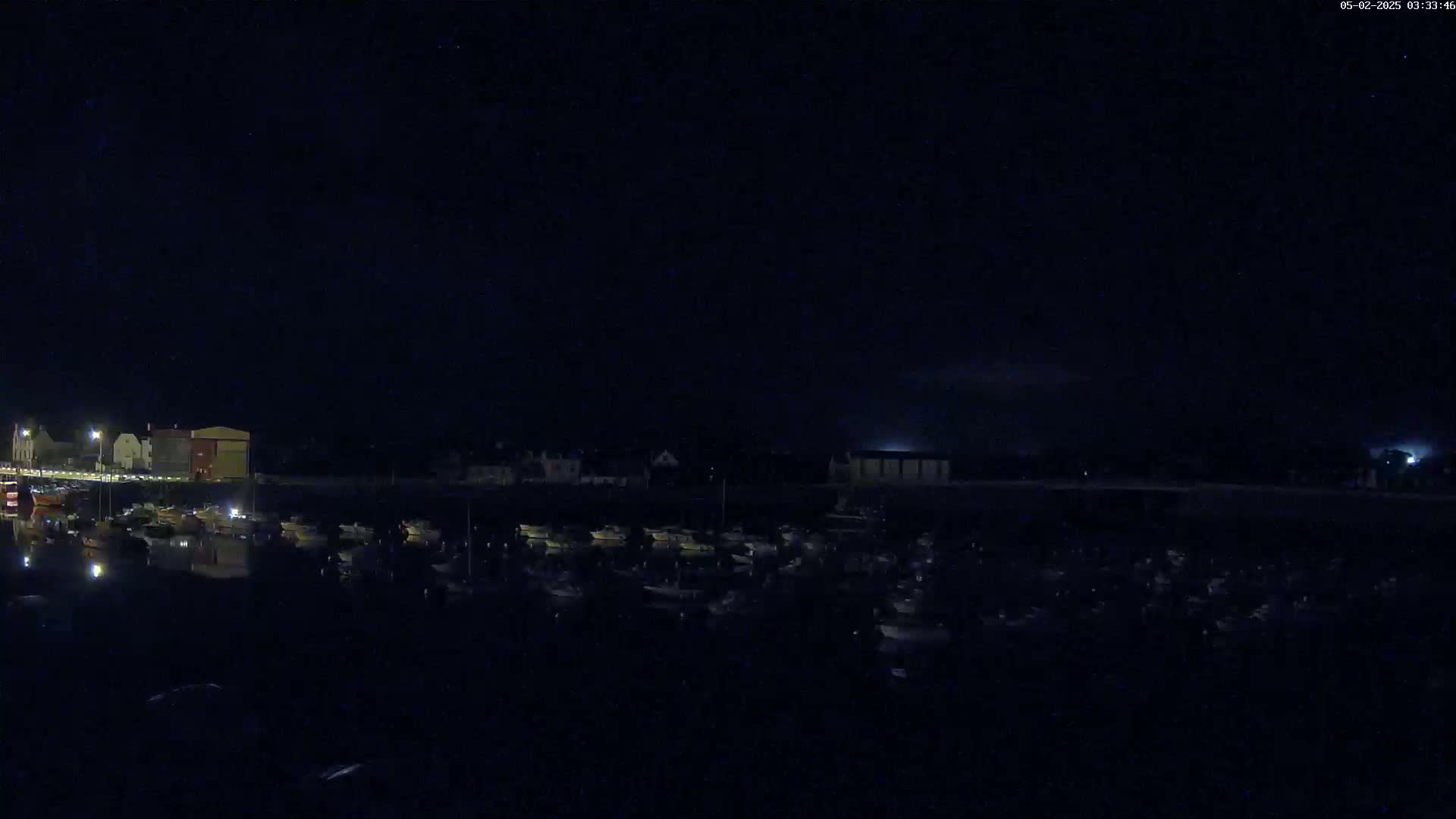 Under a dark, clear night sky, a harbor filled with numerous boats is visible near a dimly lit waterfront.