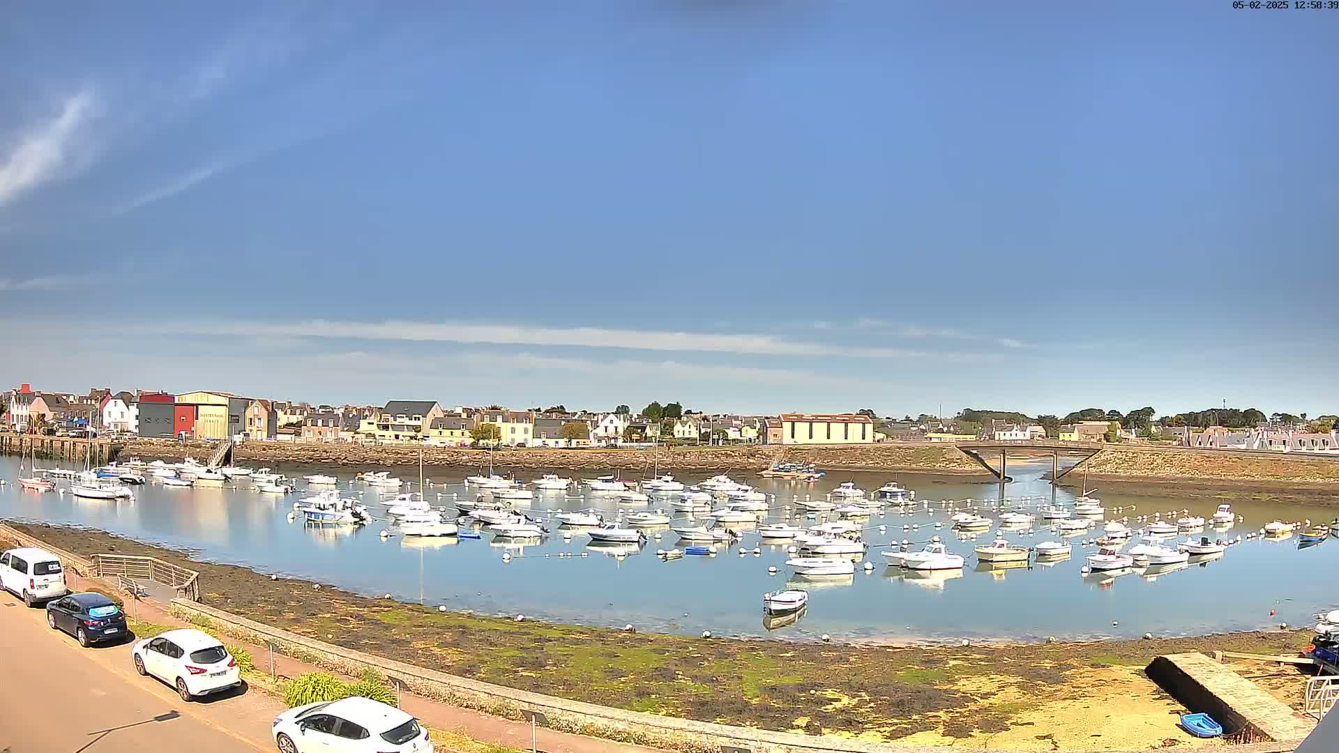 Under a clear blue sky, a calm harbor filled with numerous small white boats is nestled beside a town of buildings along a shoreline.