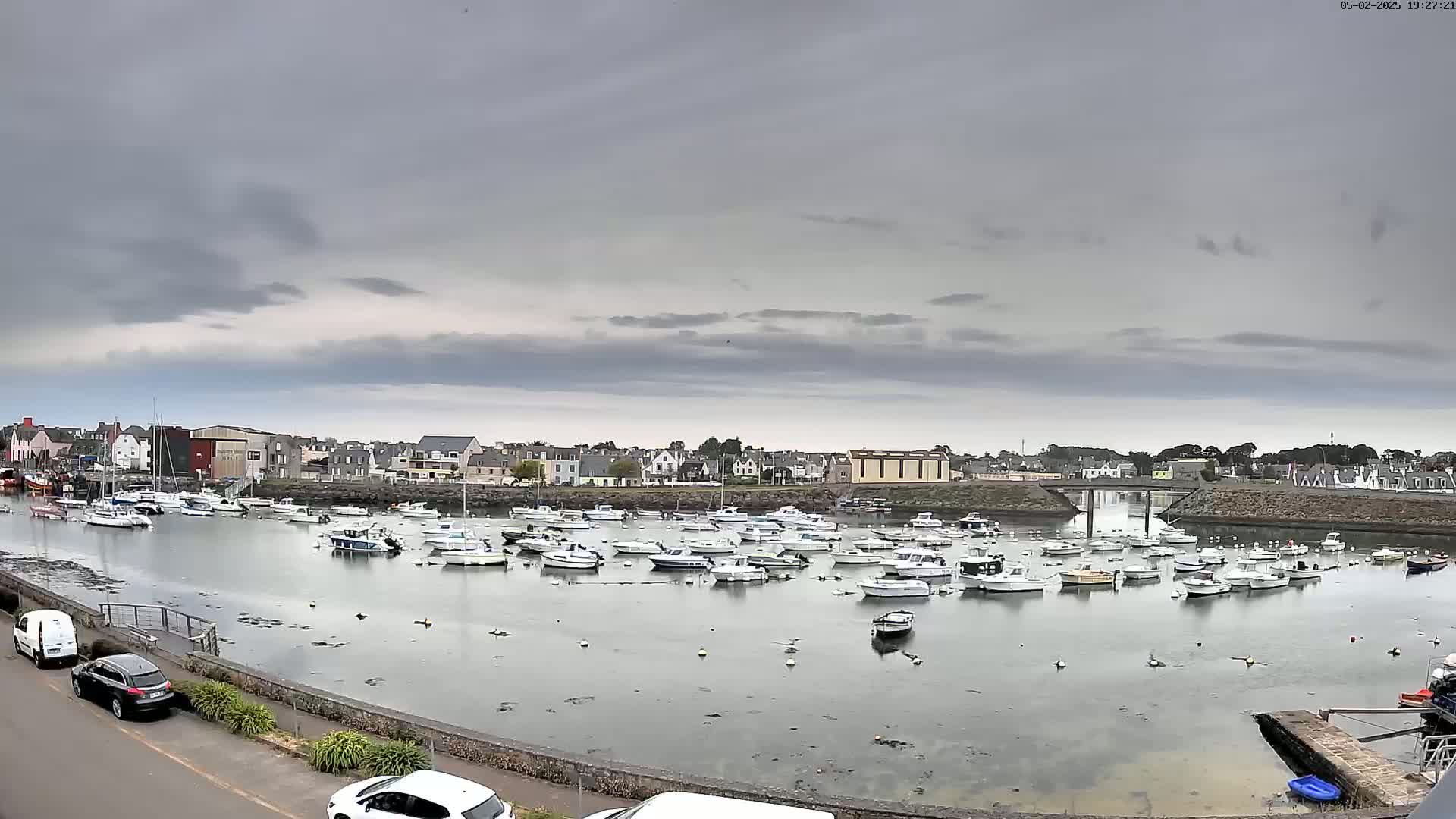 A harbor filled with numerous small boats is situated under an overcast sky next to a town.