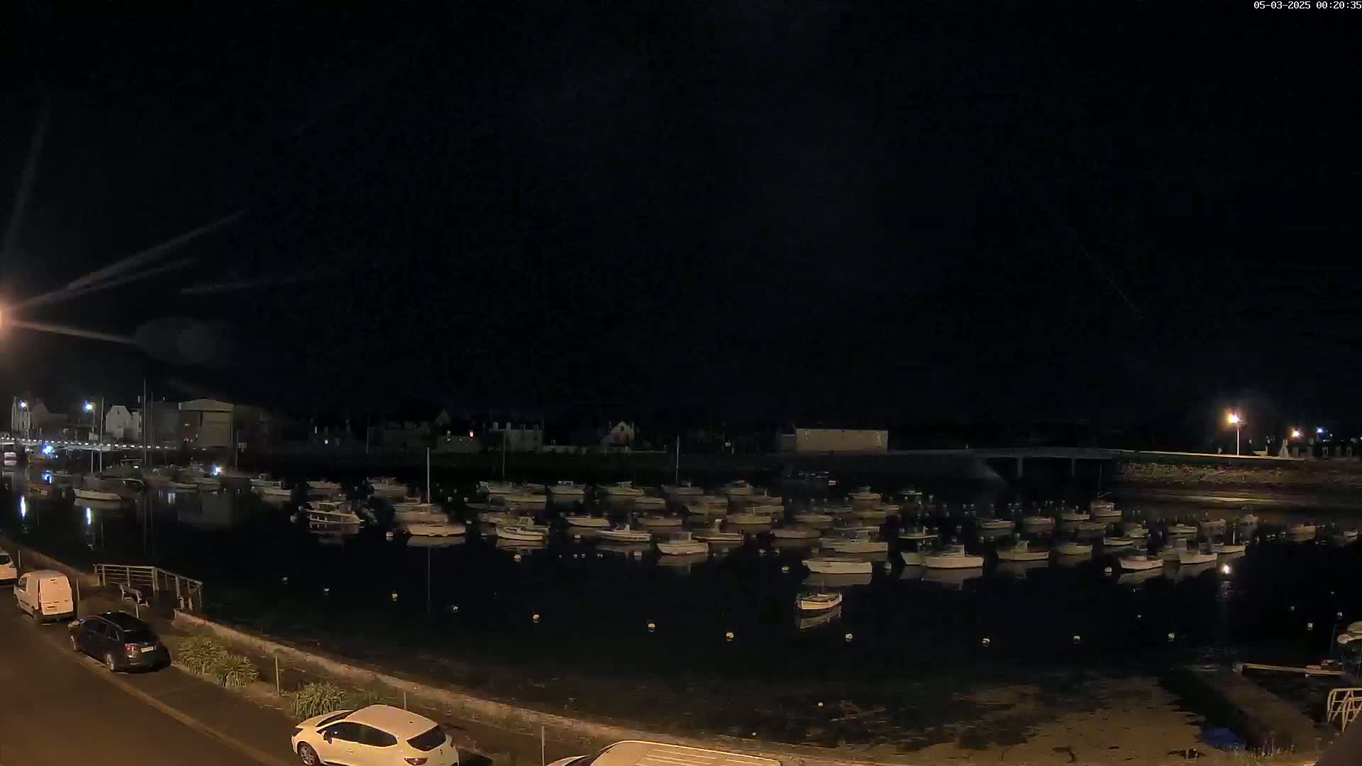 At night, numerous small boats are moored in a calm harbor, bordered by a road with parked cars and buildings in the background.