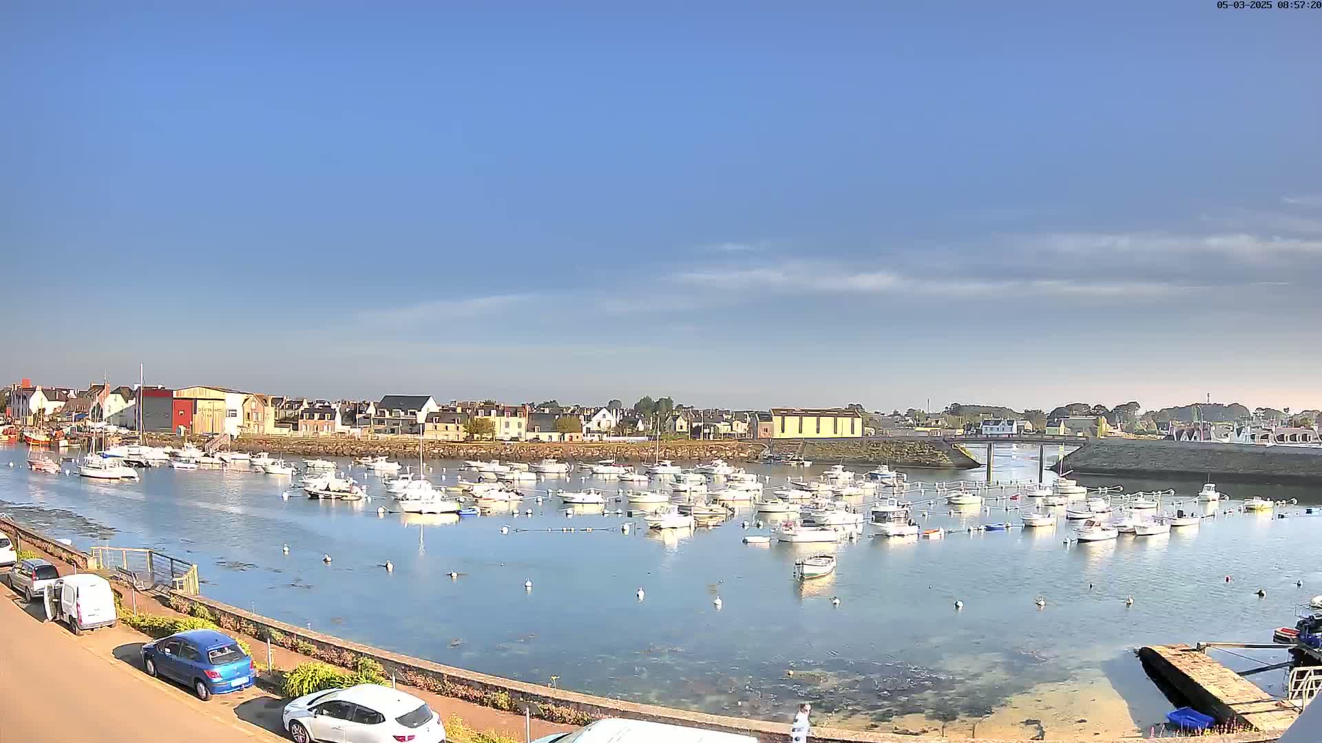 A harbor filled with numerous small white boats is situated in front of a town under a mostly clear, sunny sky.