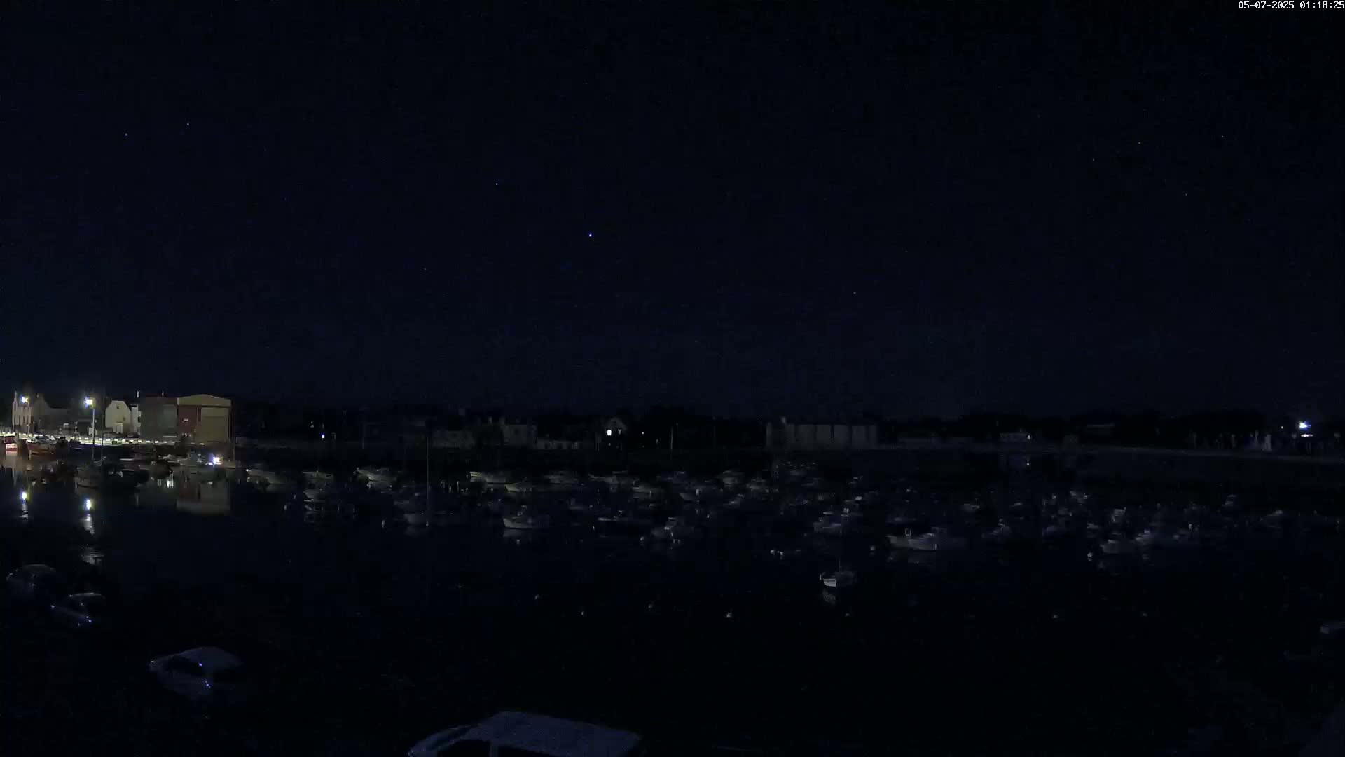 Under a clear, dark night sky, a harbor filled with numerous boats is visible, with buildings and cars lining the waterfront.