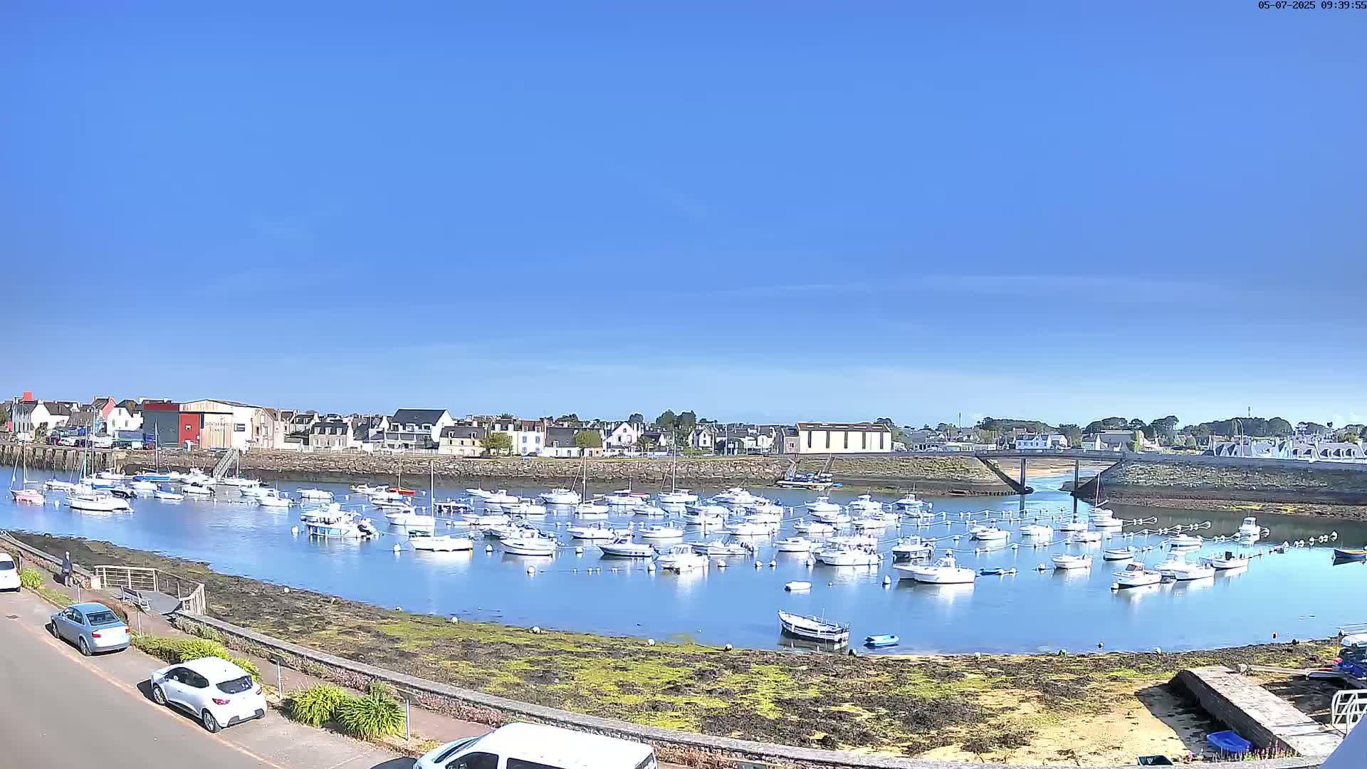 Under a clear blue sky, numerous small boats are moored in a calm harbor beside a town.