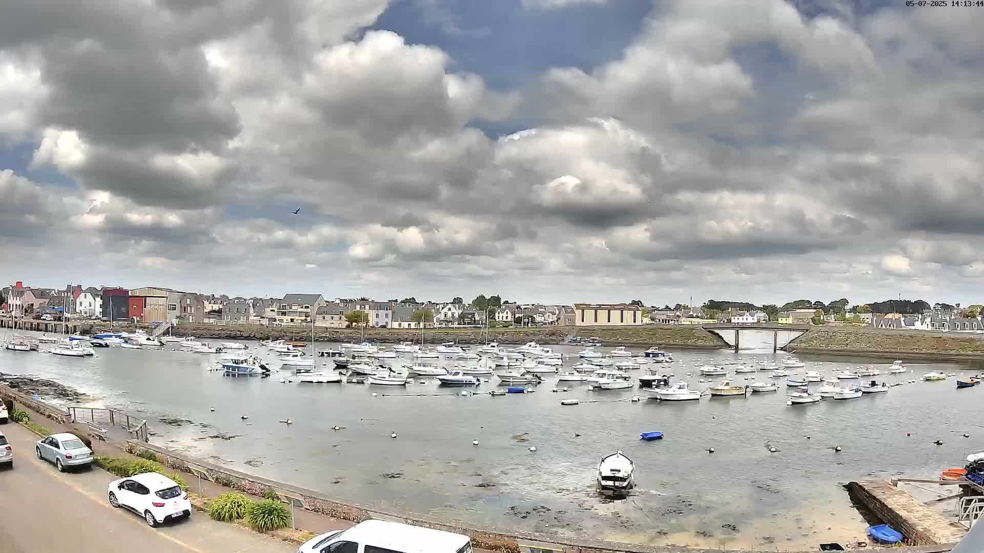 A harbor filled with numerous small boats is situated under a partly cloudy sky, with a town visible in the background.