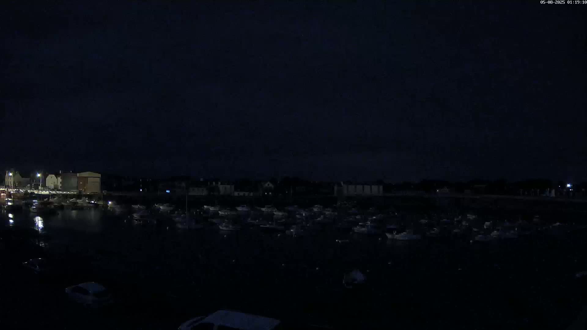 A dark nighttime scene shows a harbor filled with numerous boats under a mostly clear sky.
