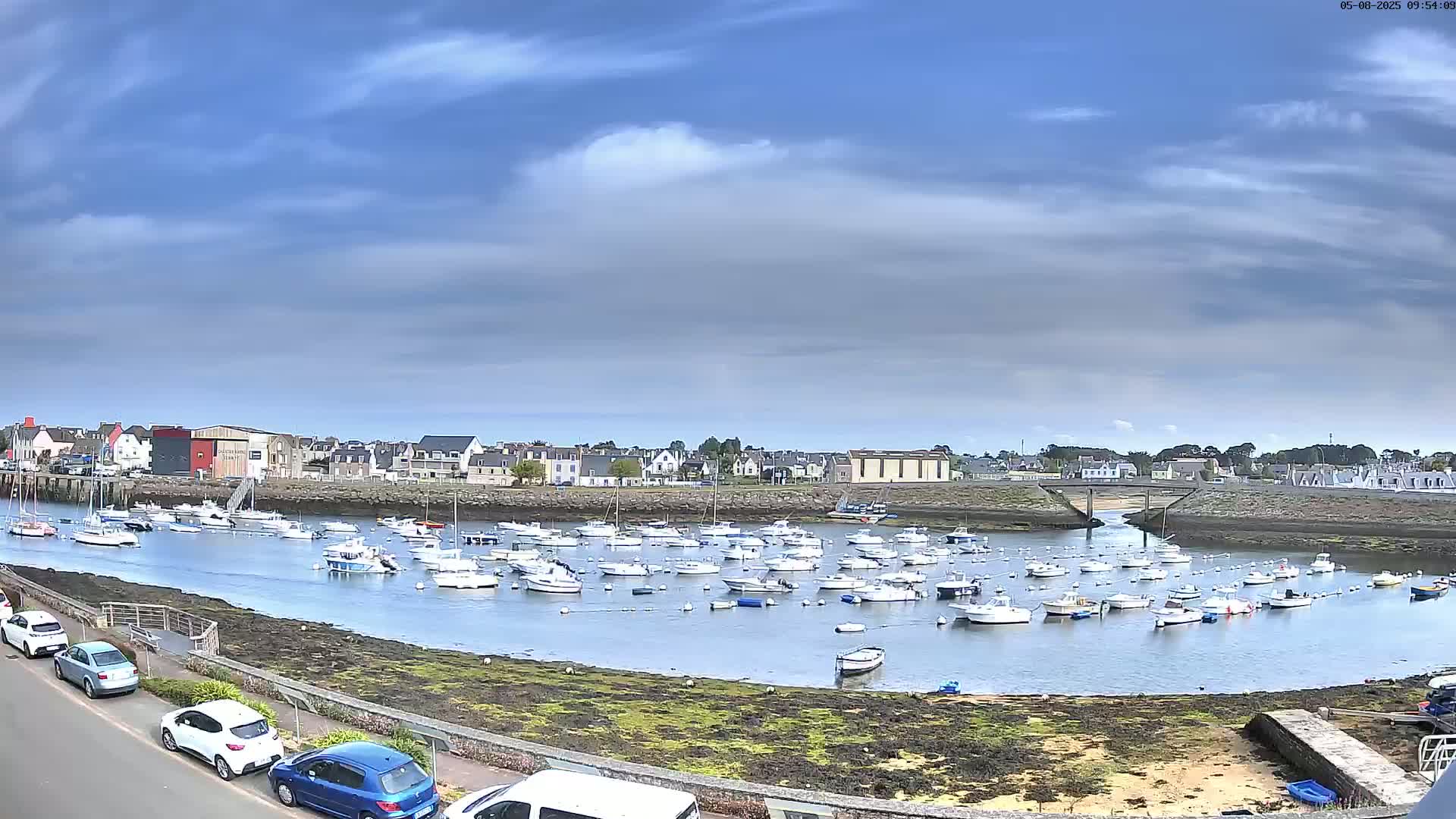 Many small boats are moored in a calm harbor under a partly cloudy sky, with a town visible in the background.