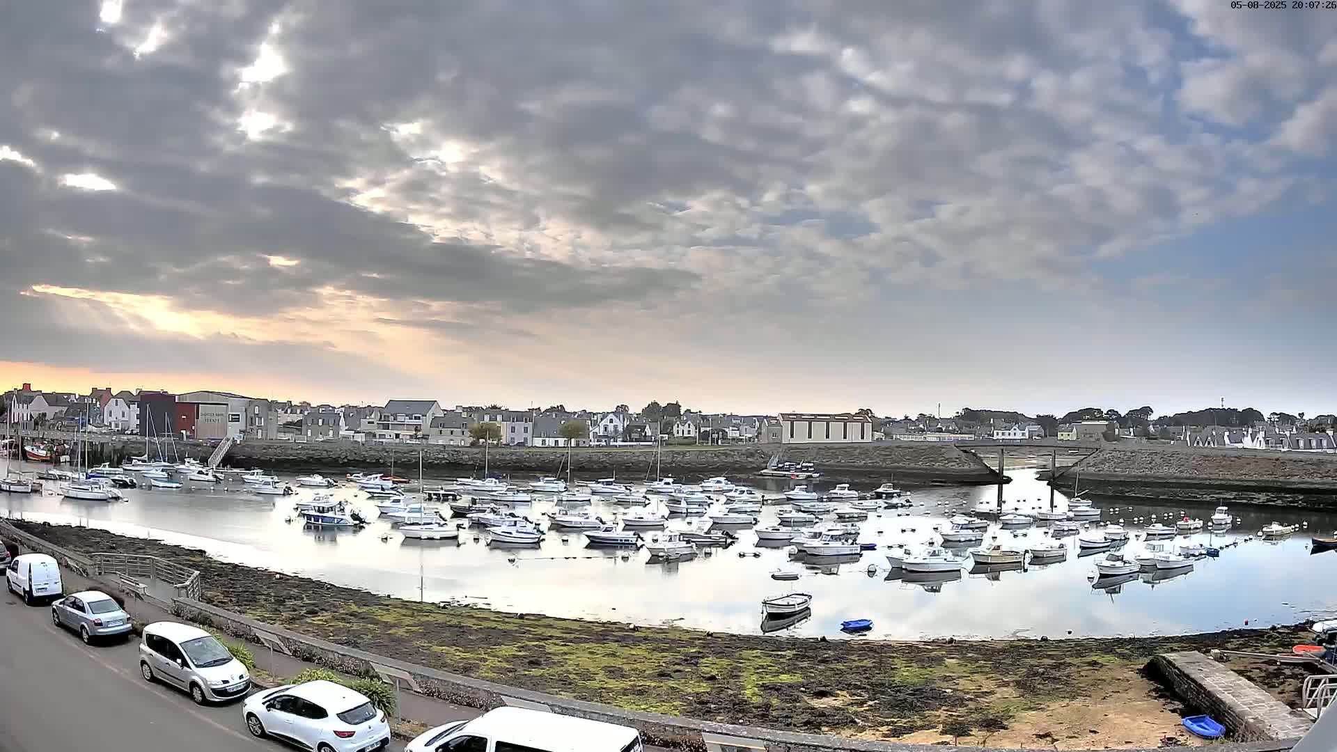 Many small boats are moored in a calm harbor under a partly cloudy sky, with a town visible in the background.
