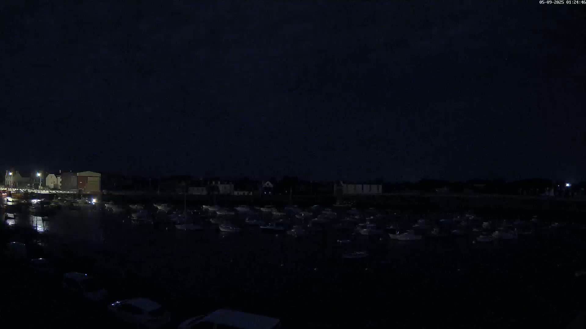 Under a dark, nighttime sky, a large number of boats are docked in a harbor near buildings and streetlights.