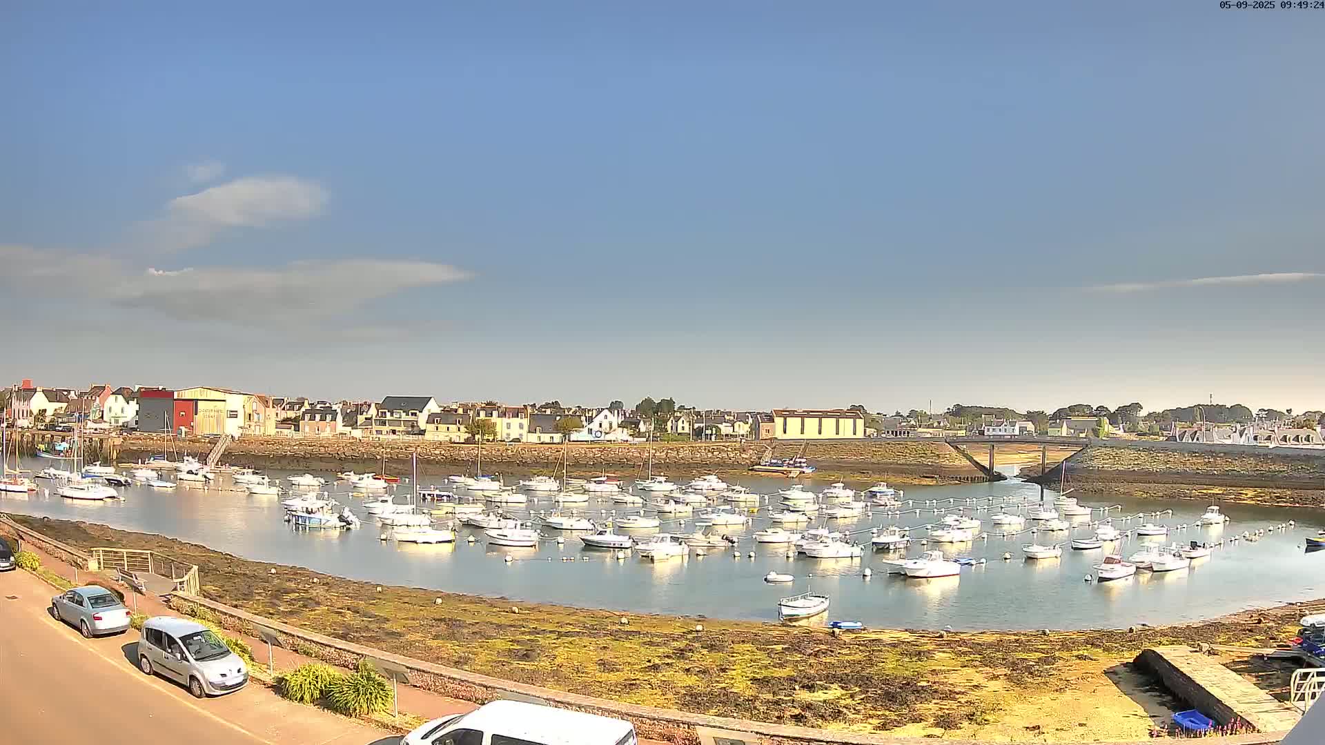 A harbor filled with numerous small white boats is situated near a town under a mostly clear, sunny sky.