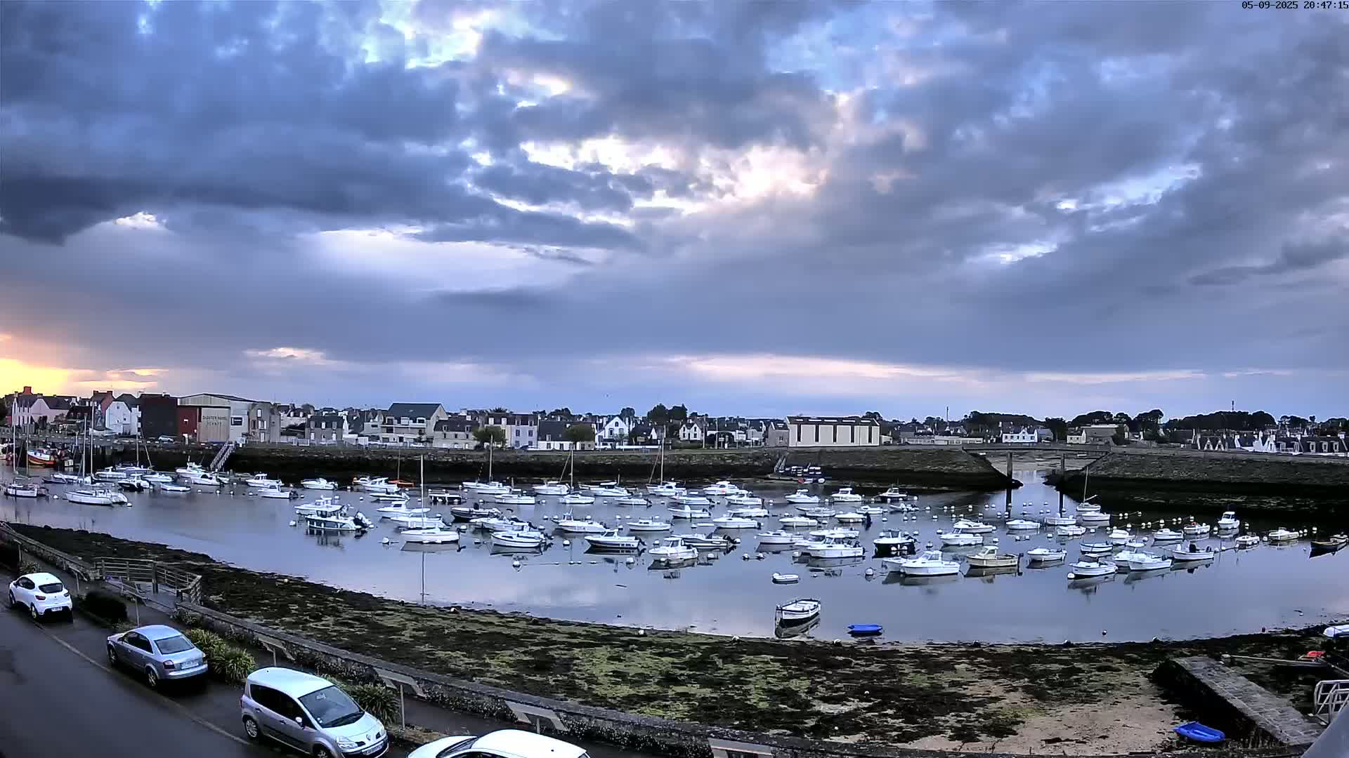 Many small boats are moored in a calm harbor under a cloudy sky, with a town visible in the background.