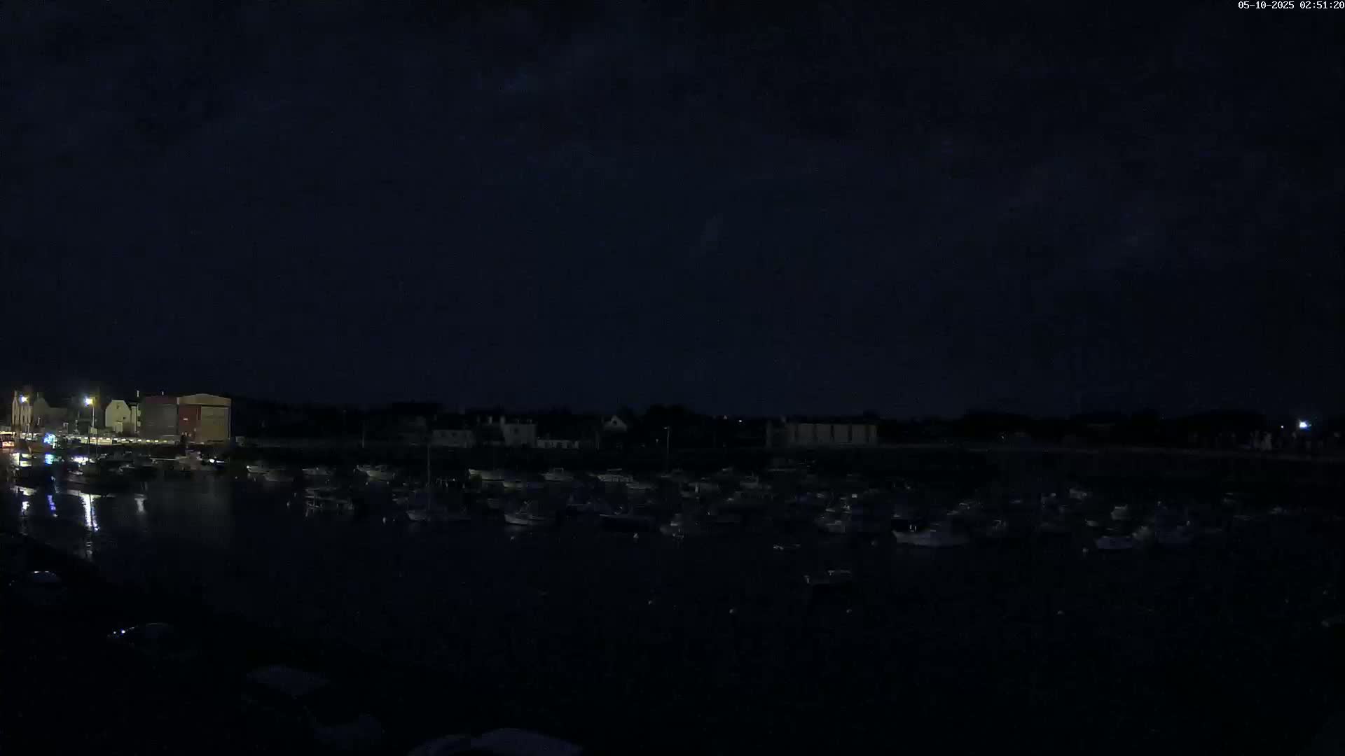 A nighttime view of a harbor filled with numerous boats under a dark, cloudy sky.