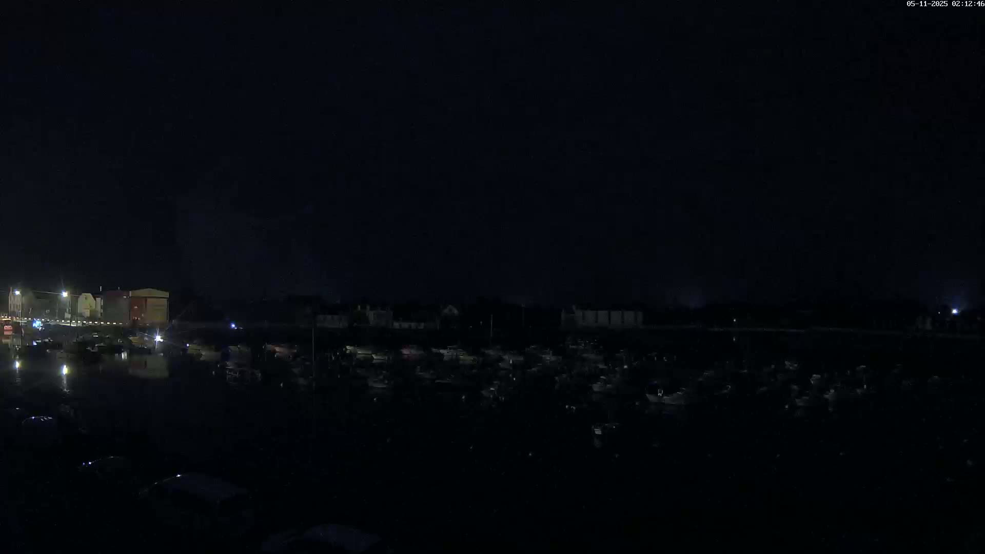 A nighttime view of a marina with many boats, and a few buildings faintly visible under a dark sky.
