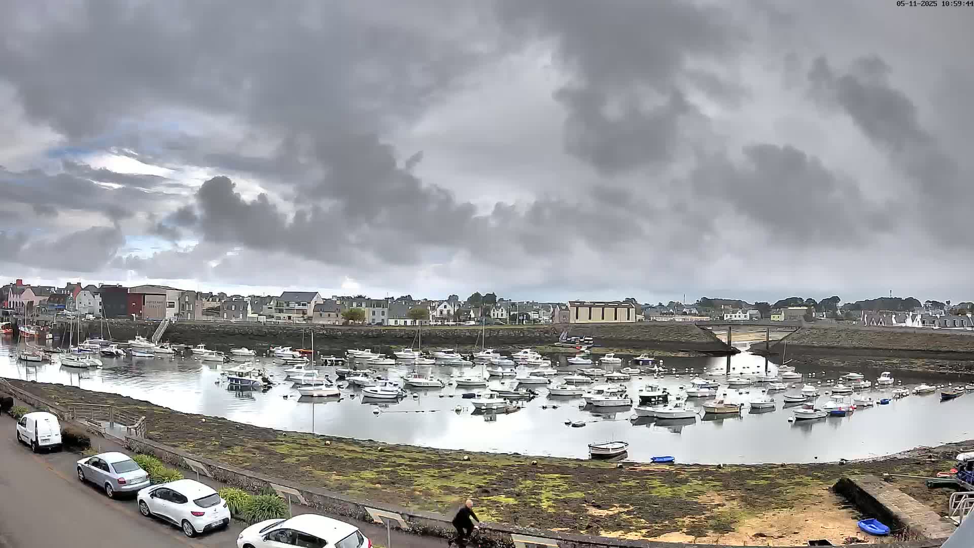 A harbor filled with numerous boats is situated in front of a town under a cloudy sky.
