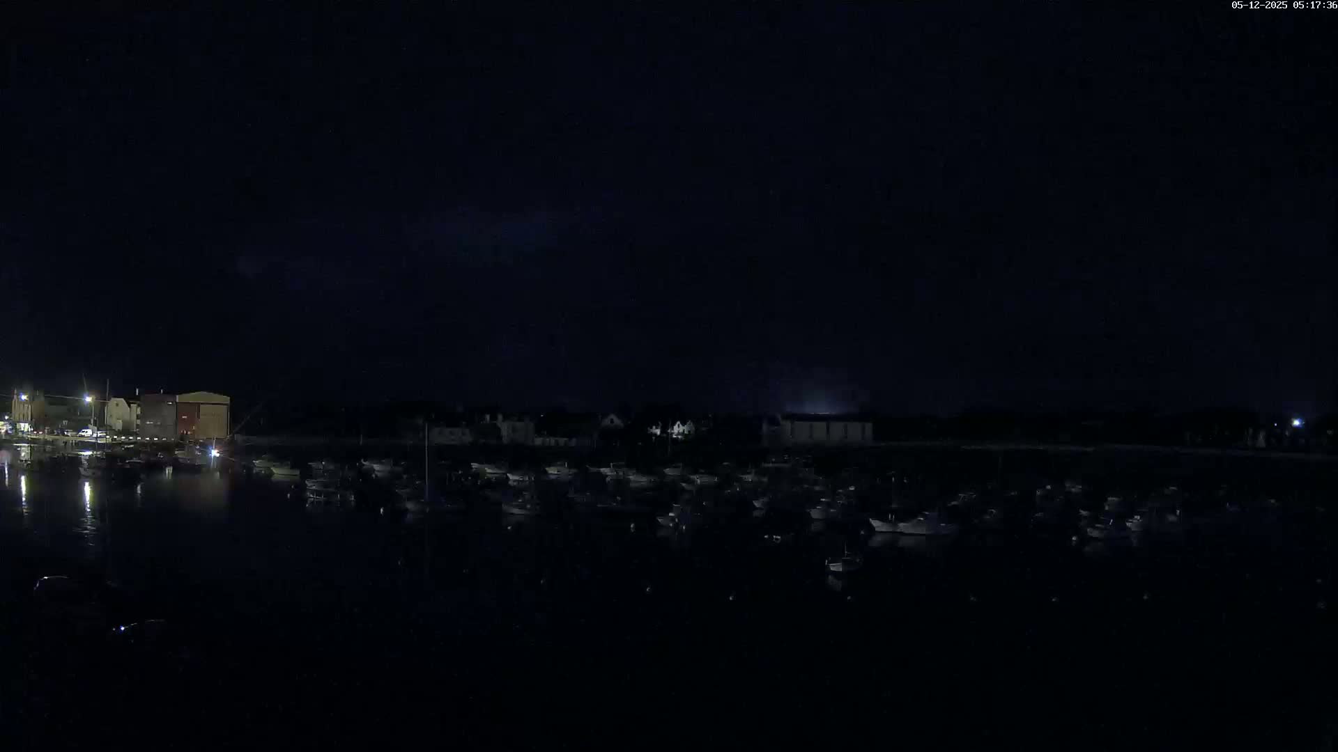 A nighttime view of a harbor filled with numerous boats under a dark sky.