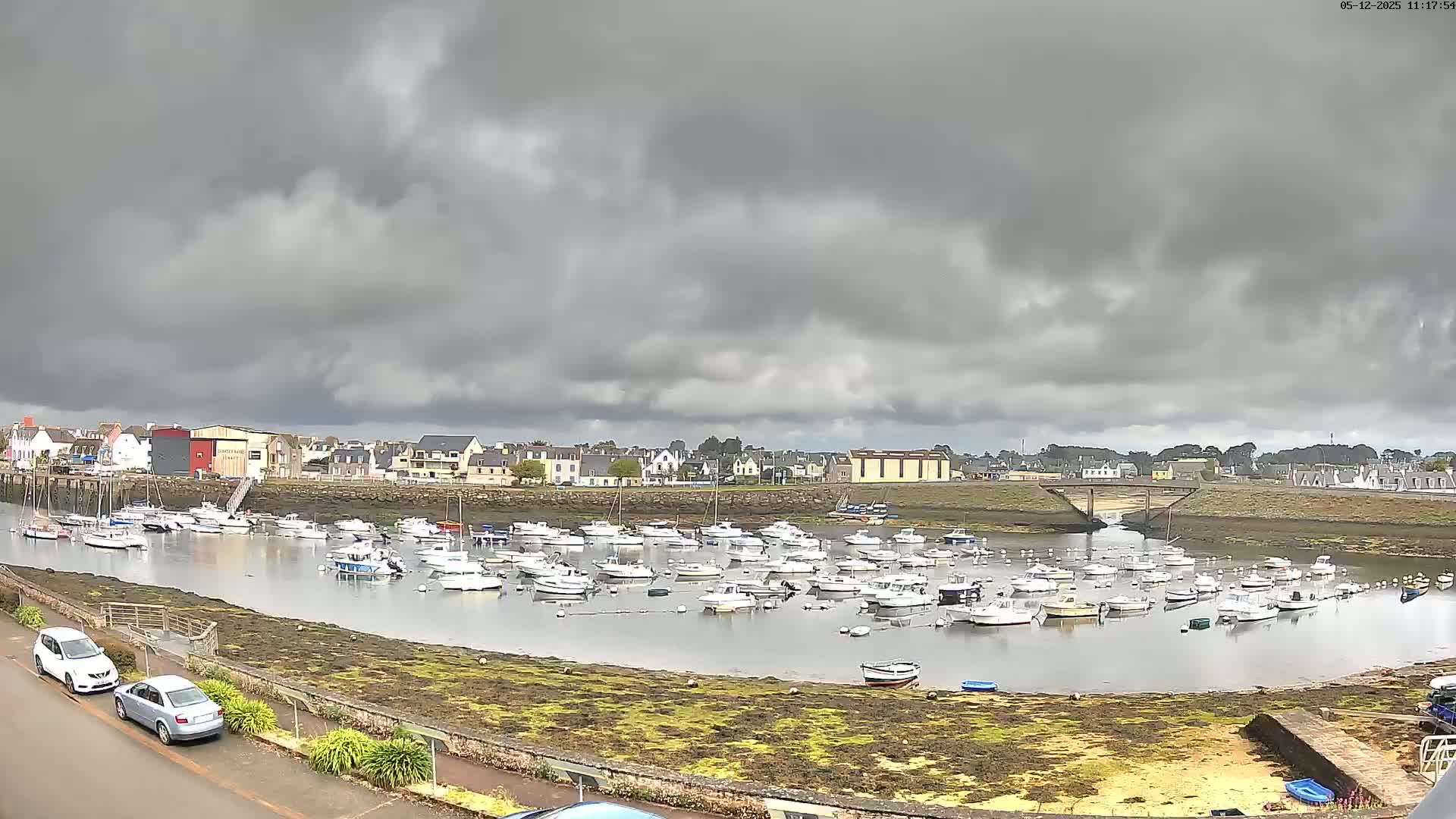 Numerous small boats are moored in a calm harbor under a cloudy sky.