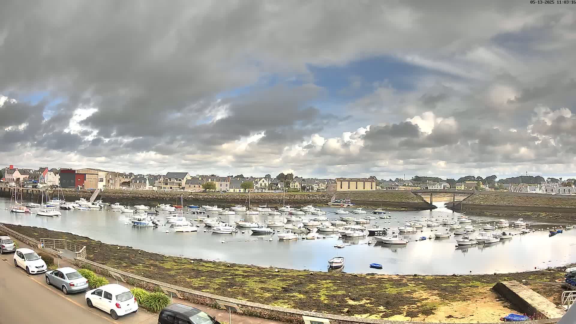 A harbor filled with numerous boats is situated under a partly cloudy sky, with a small town visible in the background.