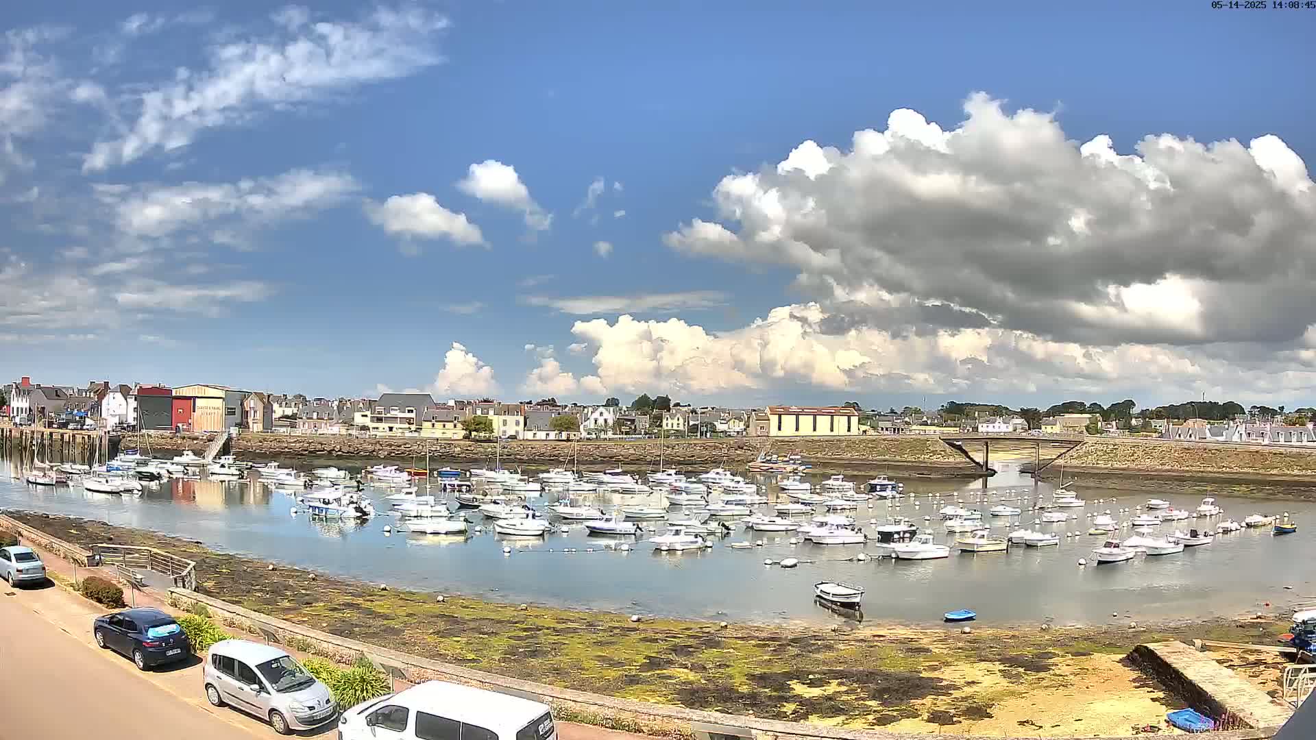 A harbor filled with numerous small boats sits under a partly cloudy sky, with a town visible in the background.