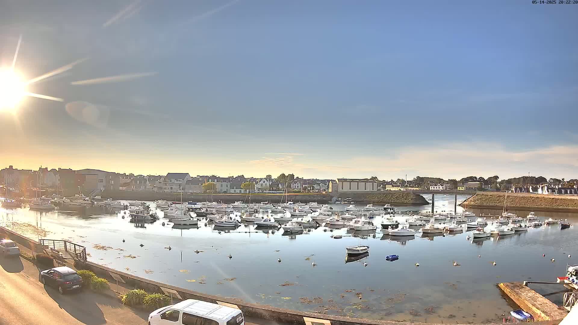 Many boats are moored in a calm harbor under a bright, sunny sky, with a town visible in the background.