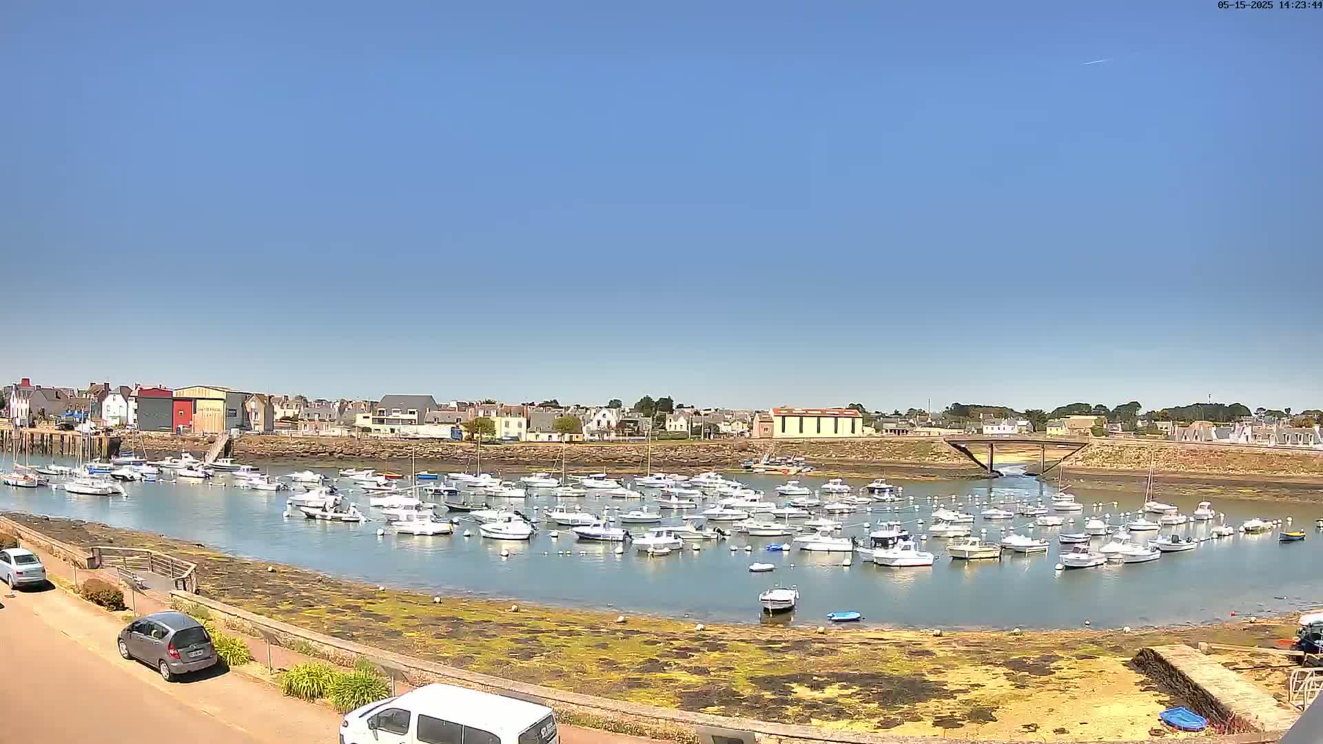 A harbor filled with numerous small boats is situated under a clear blue sky in front of a town.
