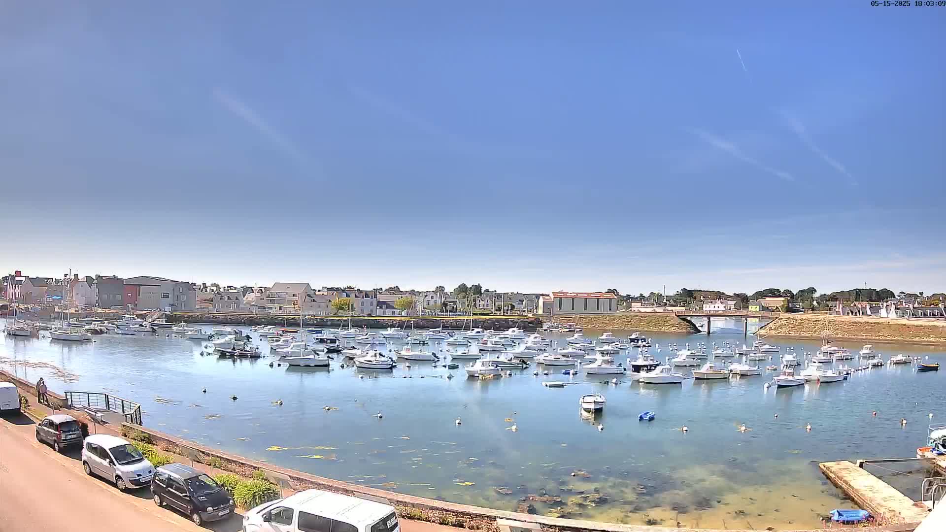 A harbor filled with numerous white boats is seen under a clear blue sky, with cars parked along a roadway to the left.
