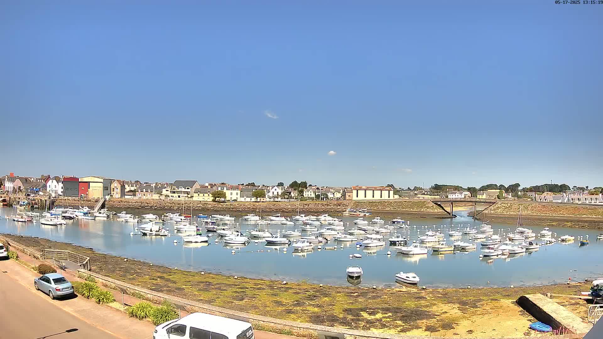 A calm harbor filled with numerous small white boats is situated under a clear blue sky beside a town.