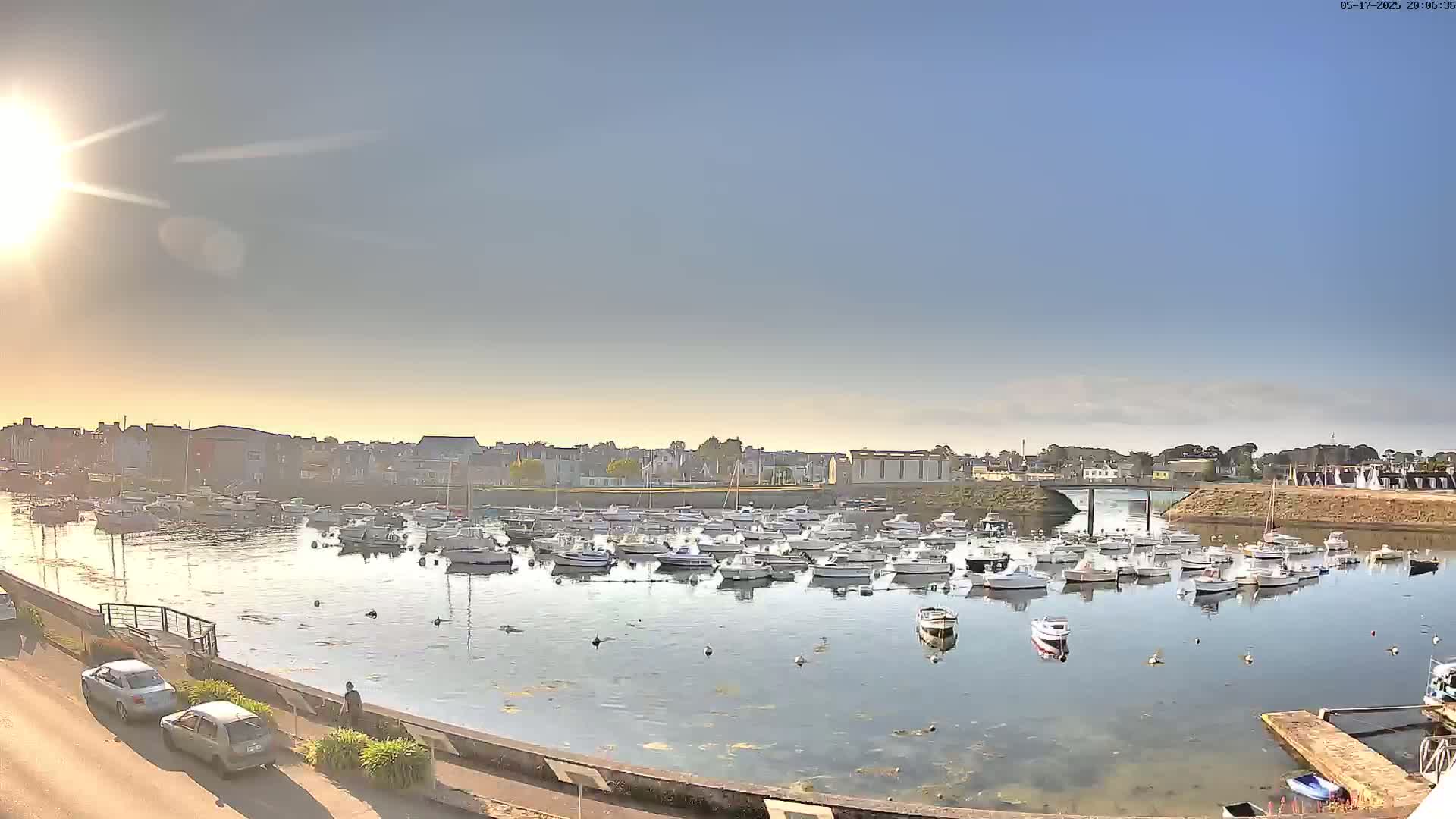 A sunny day reveals a harbor filled with numerous white boats, nestled beside a town under a clear blue sky.
