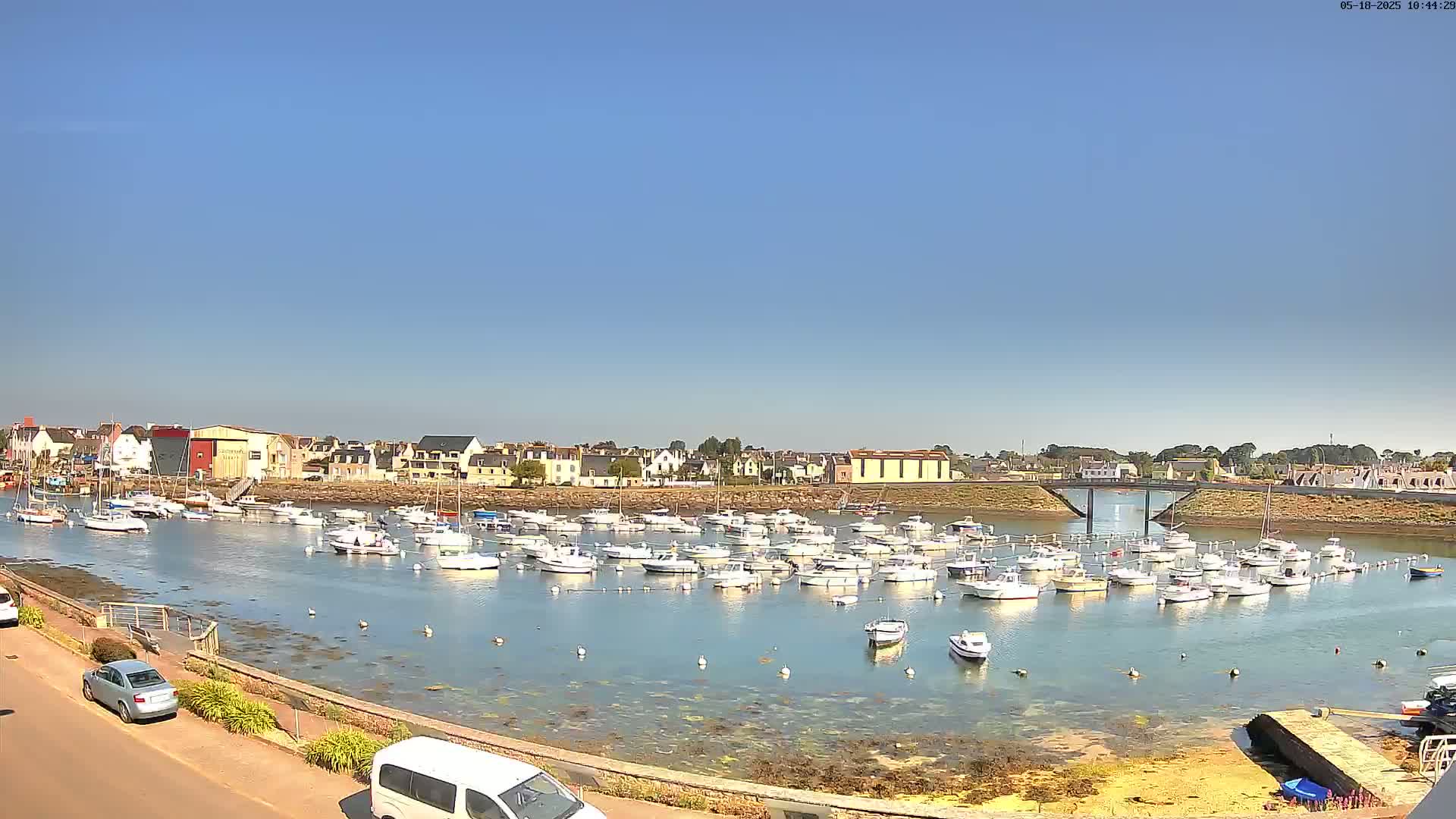 A calm harbor filled with numerous small boats is situated in front of a town under a clear blue sky.