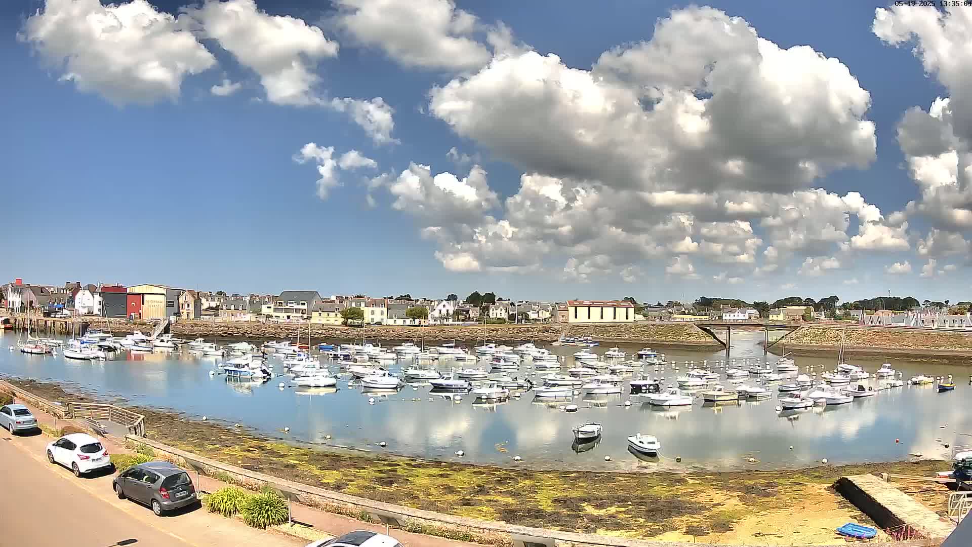 A calm harbor filled with numerous small boats is situated in front of a town under a partly cloudy sky.