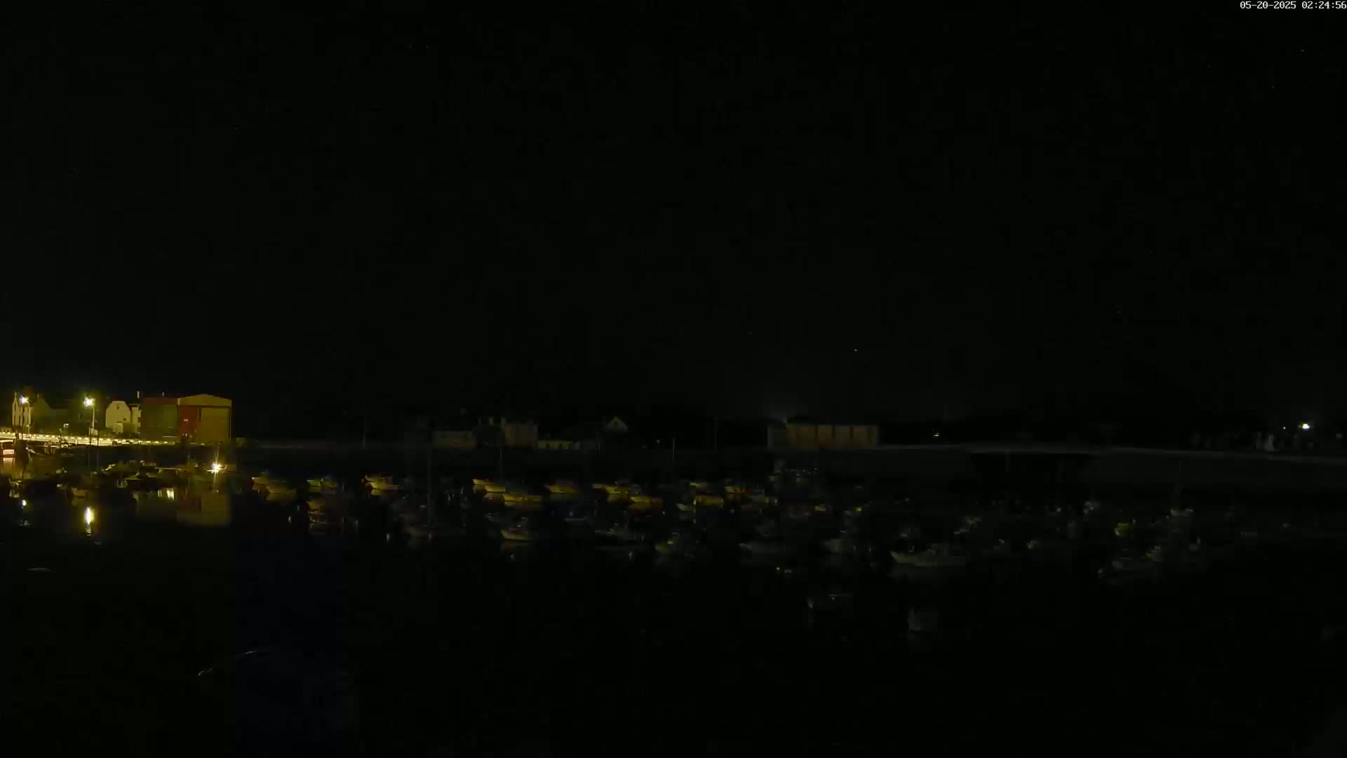 At night, a dark body of water reflects the dim lights of a harbor filled with numerous small boats, illuminated by faint artificial light from nearby buildings.