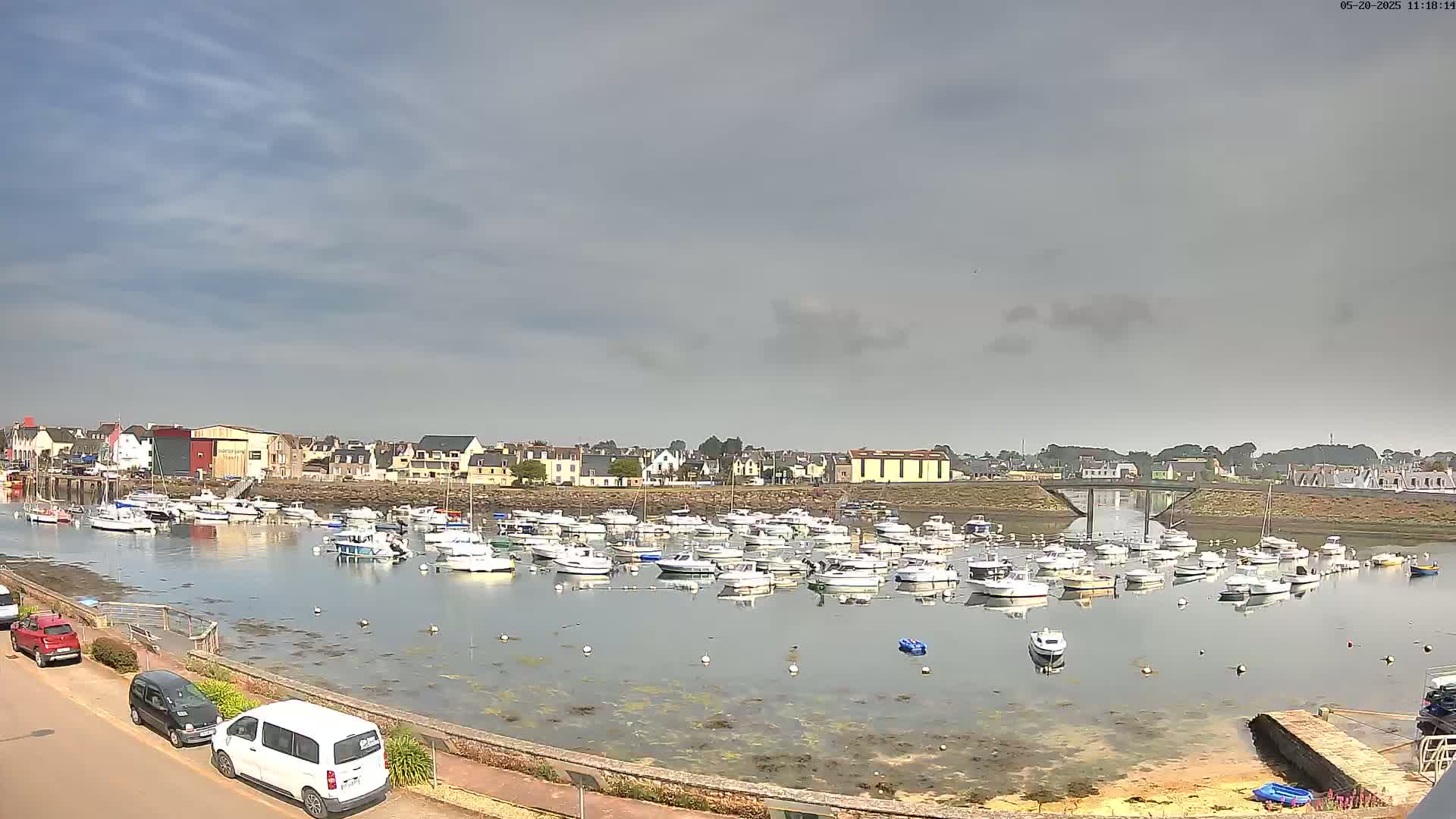 A calm harbor filled with numerous small boats is situated in front of a town under a mostly cloudy sky.