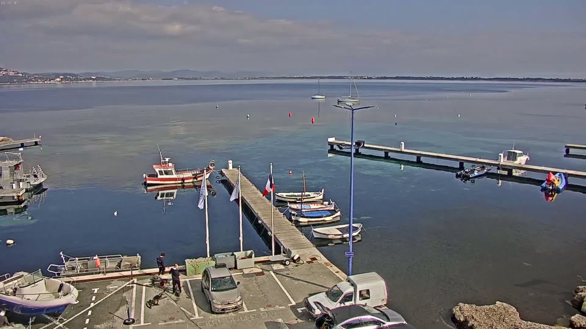 A calm, sunny day at a marina shows several small boats docked at piers, with a larger body of water and distant land visible in the background.