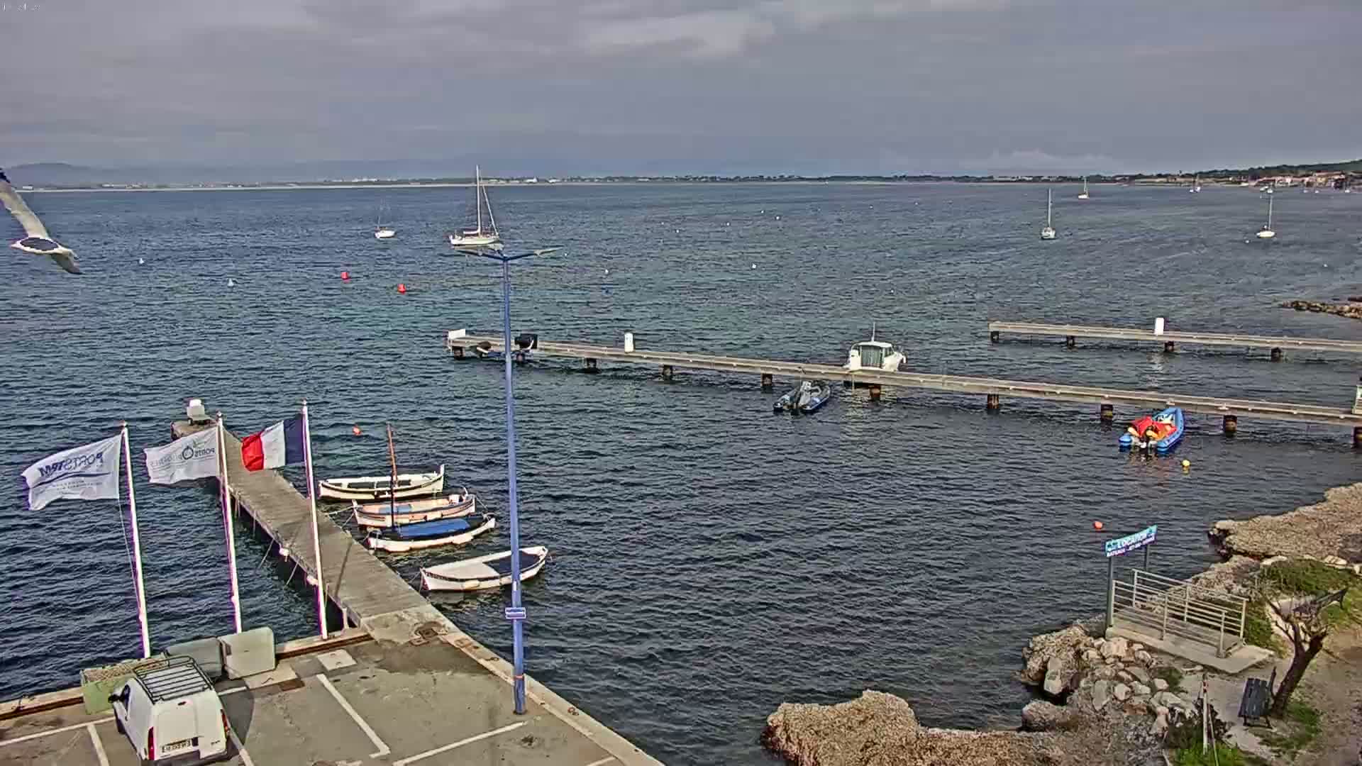 A mostly cloudy day reveals a harbor scene with several small boats moored at long docks, a few sailboats in the distance, and a bird in flight.
