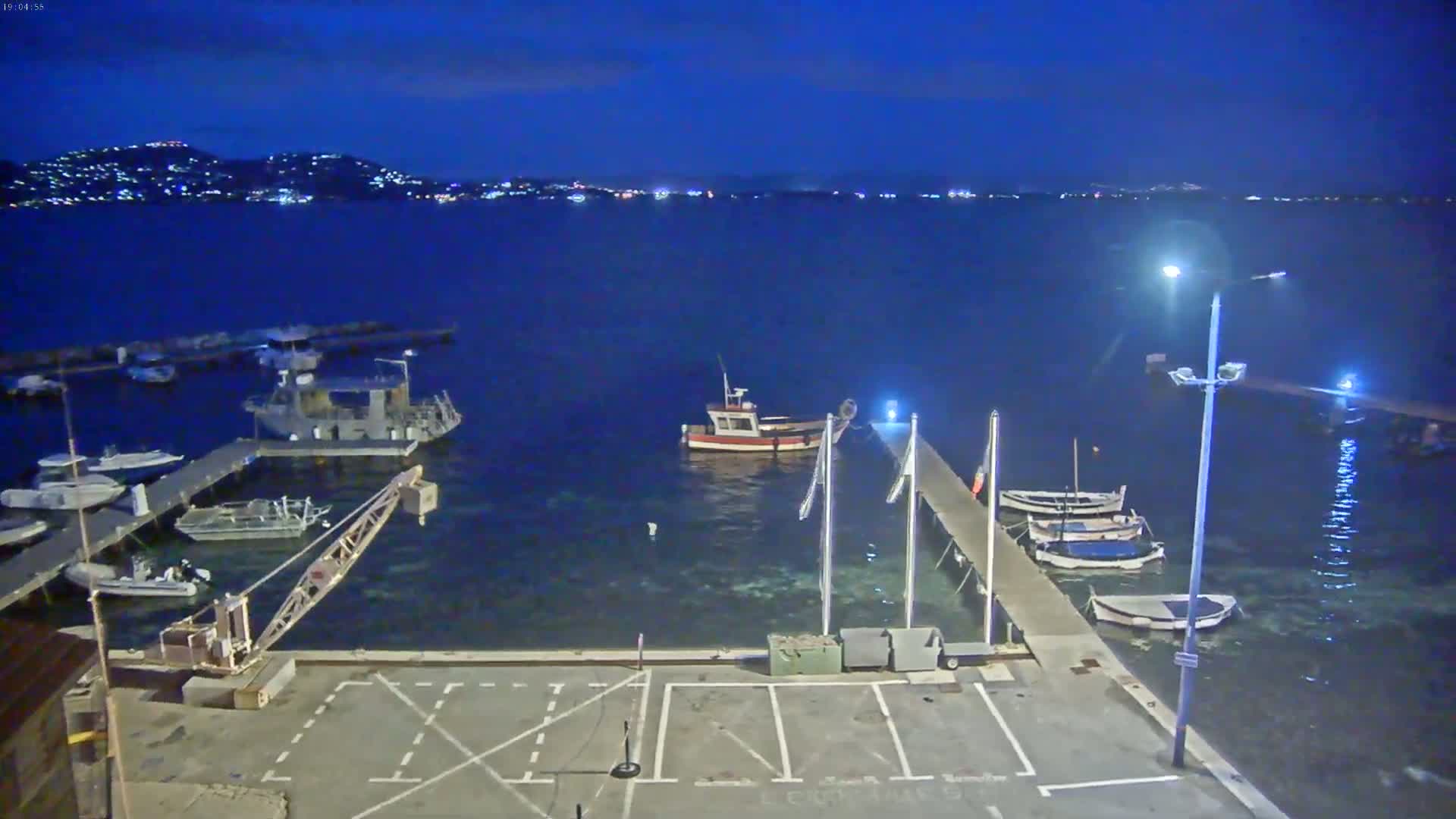 A nighttime view of a harbor with several boats moored at docks, a small crane, and a city skyline visible across the water under a dark blue sky.