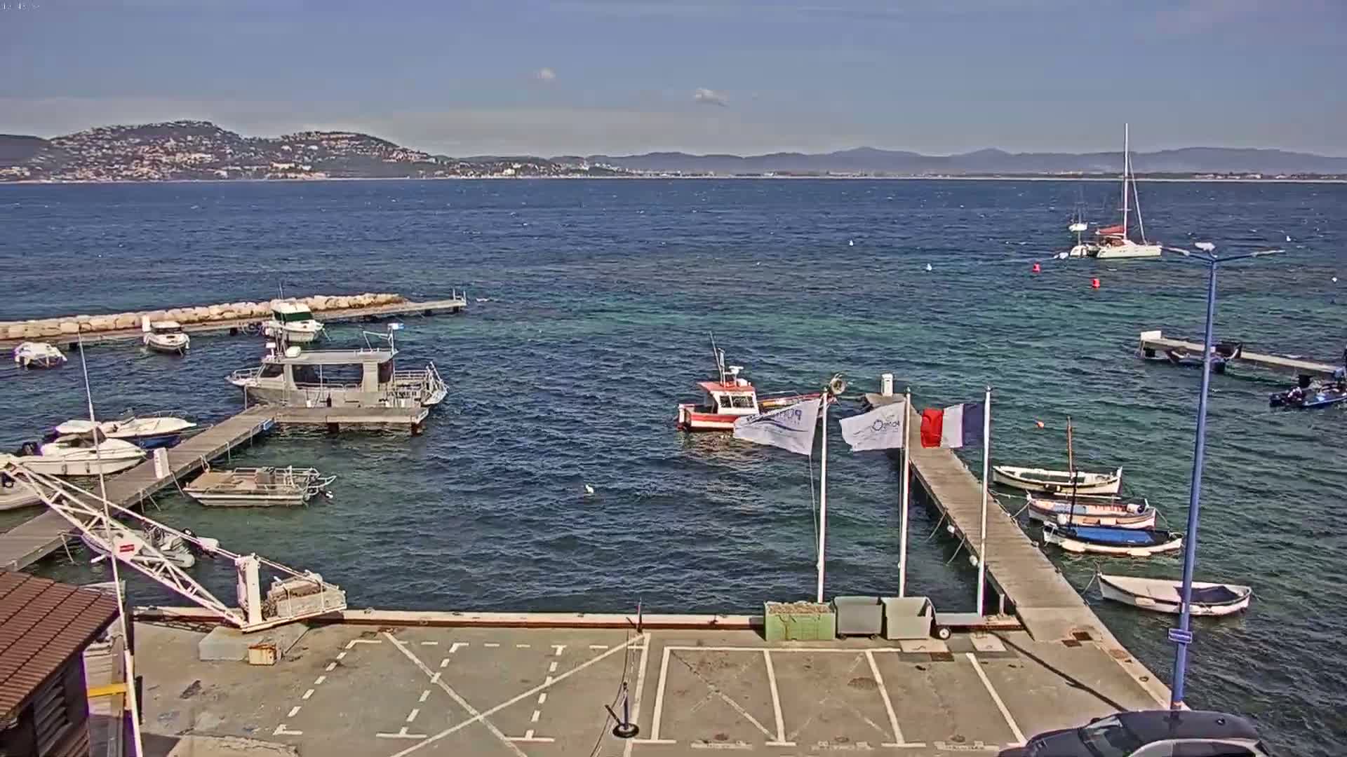 A marina with numerous boats docked at piers, a small crane, and a distant view of a coastline under a sunny sky.