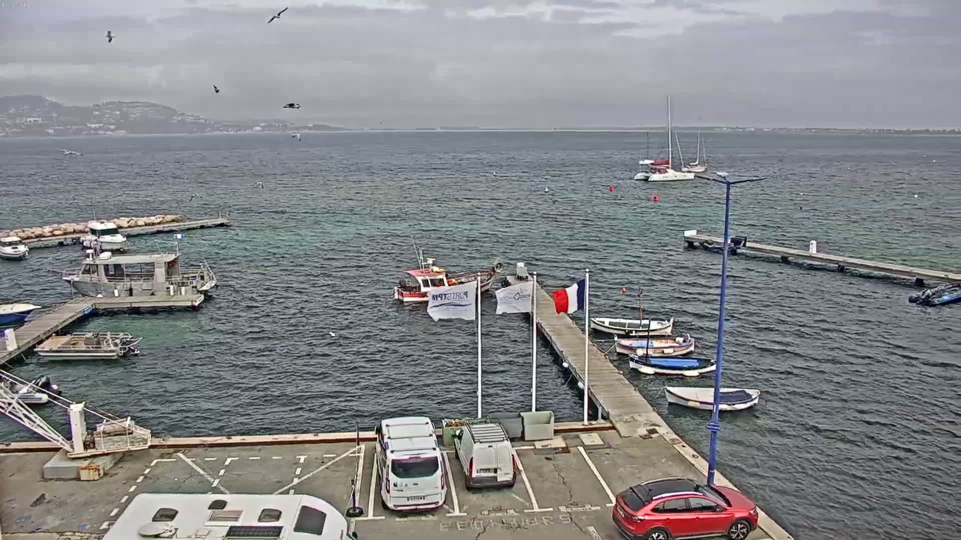 A harbor with several boats and cars parked in a lot under an overcast sky.