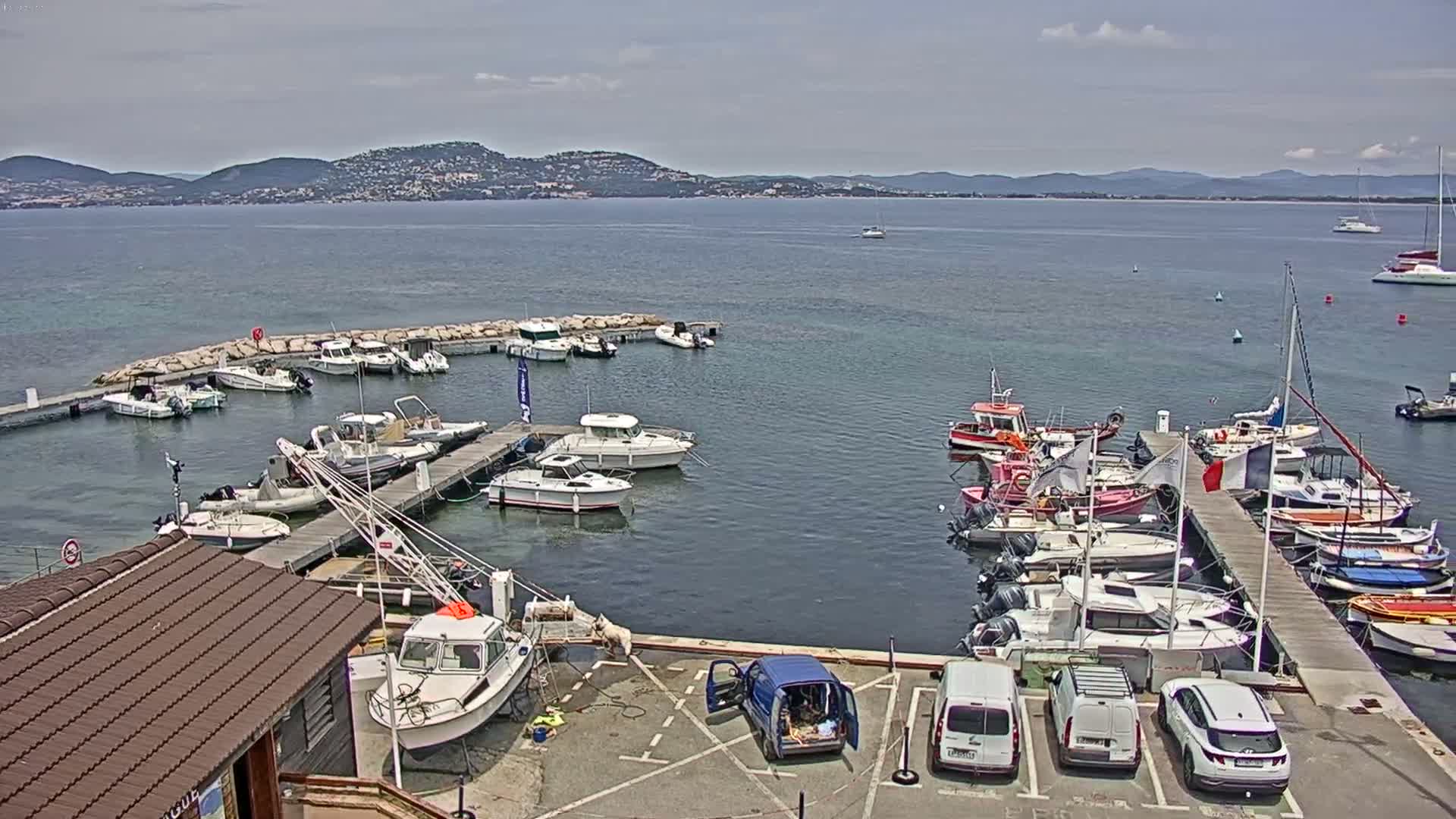 A marina filled with various sized boats and docked sailboats, under a partly cloudy sky, is situated next to a parking lot with several cars and a van.