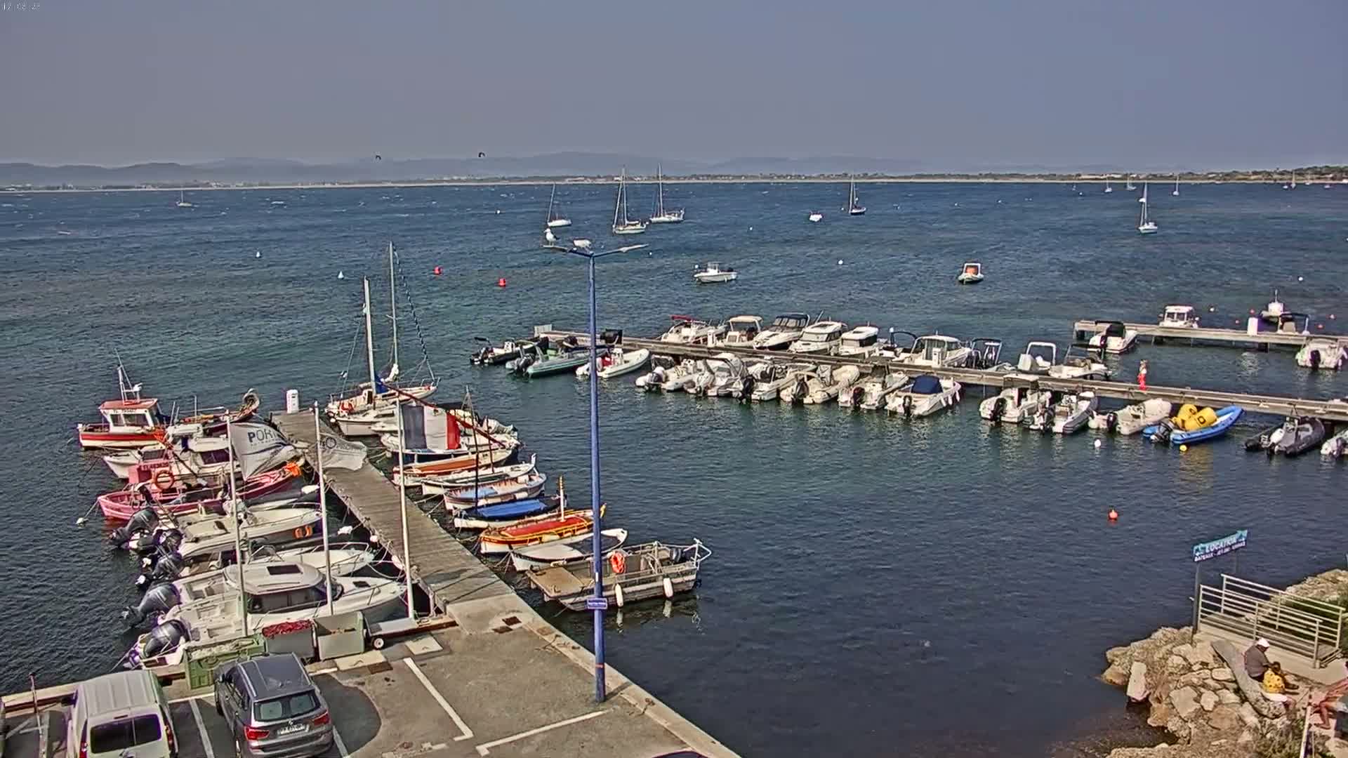 Numerous boats are docked at a marina on a calm, sunny day, with a view of a distant coastline across a body of water.