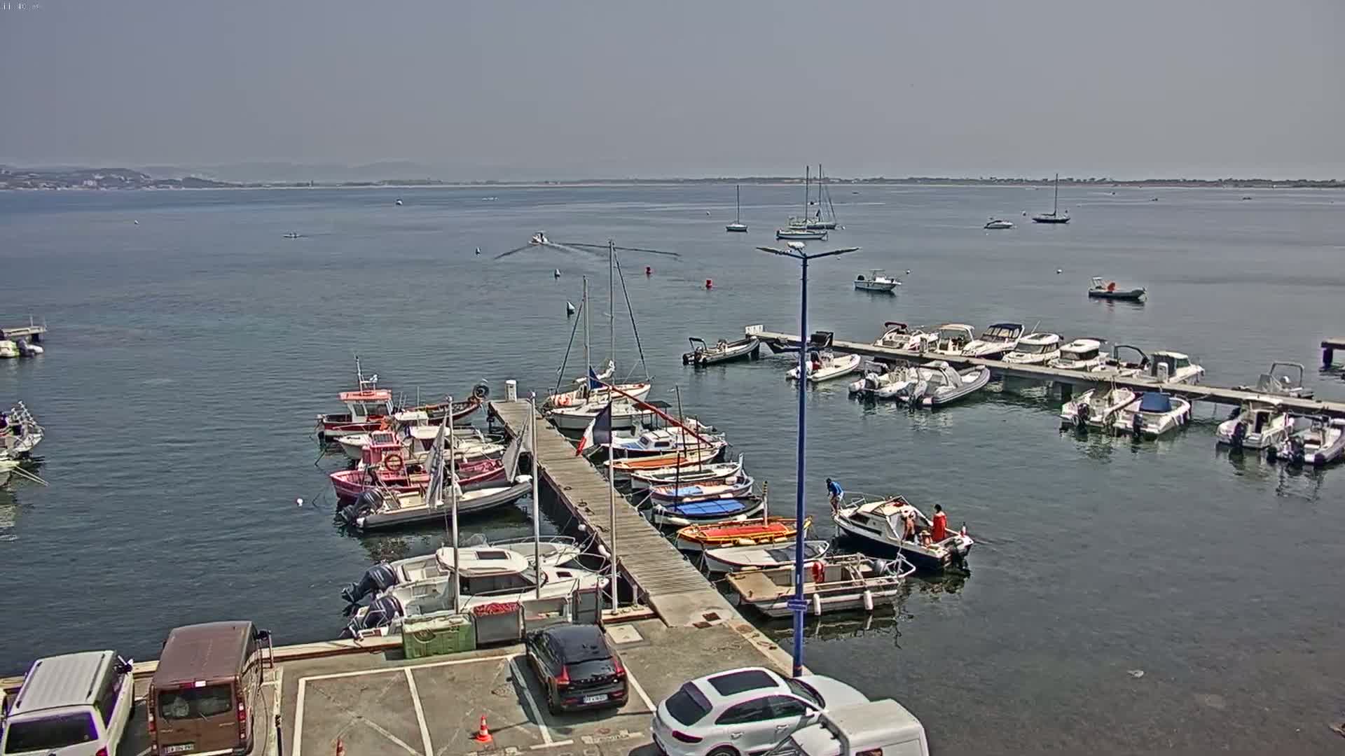 A marina filled with numerous boats of various sizes is shown on a sunny day, with calm waters extending to a distant shoreline.