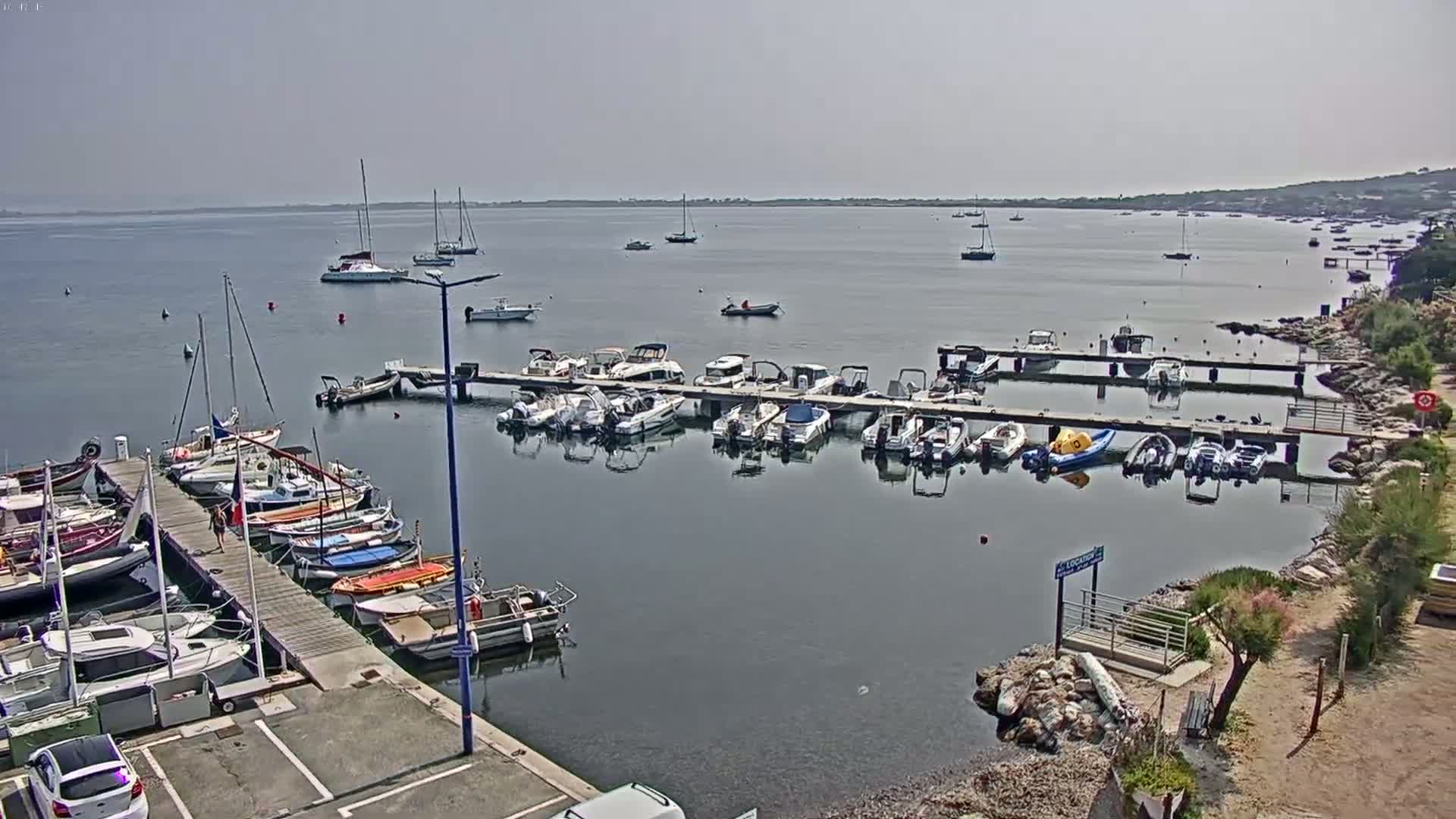 Numerous boats are docked at a marina on a calm, sunny day, with additional boats visible on the water beyond.