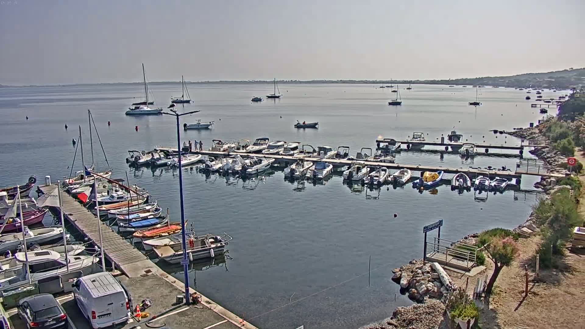 Numerous boats are docked at a marina on a calm, sunny day, with additional boats visible in the bay beyond.