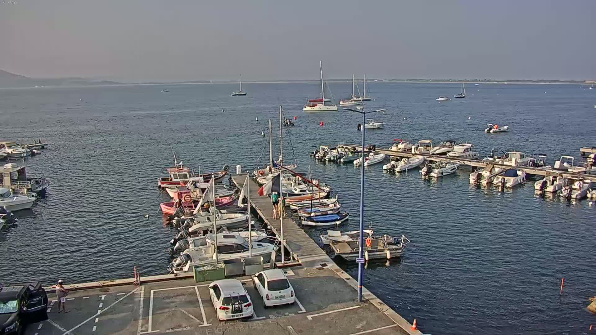 A marina filled with numerous boats and yachts on a calm, sunny day, with a distant shoreline visible across the water.