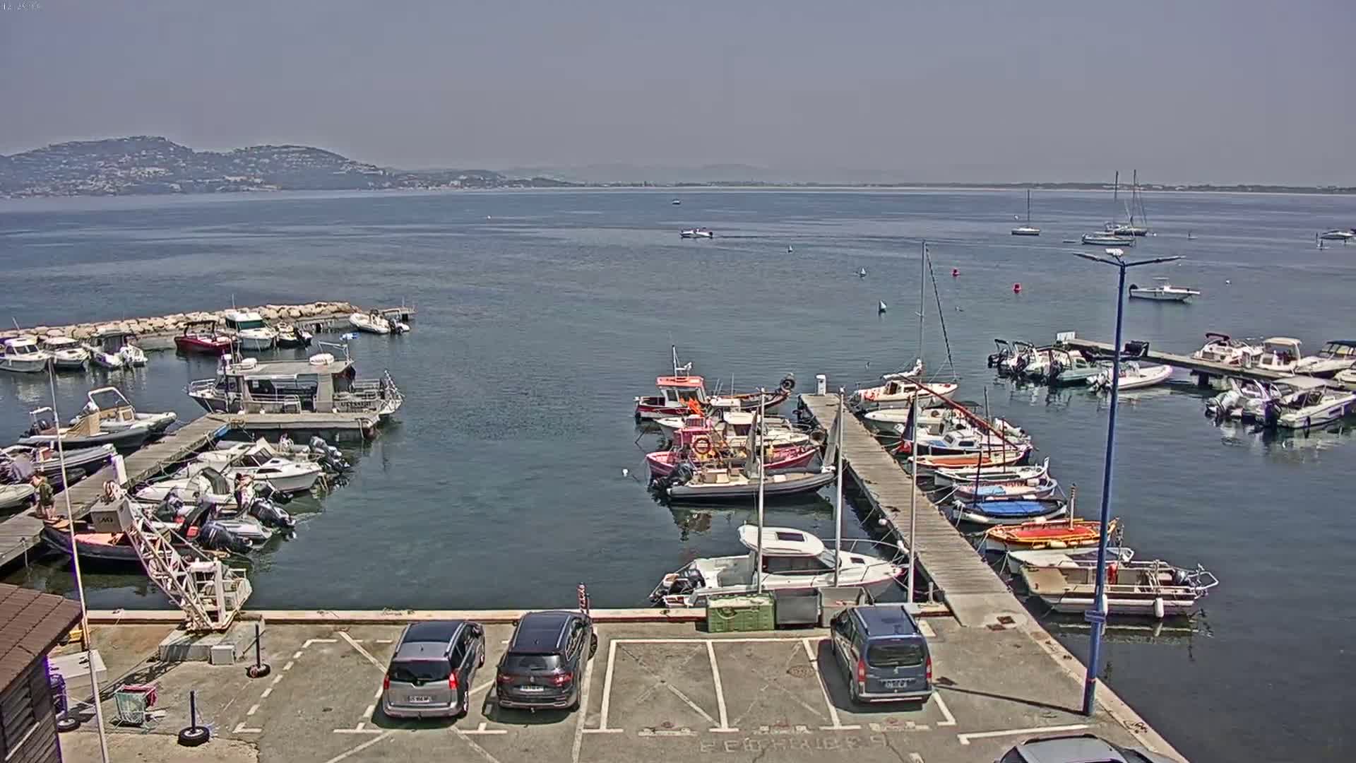A marina filled with numerous boats and cars parked in a lot, overlooks calm water under a clear sky.