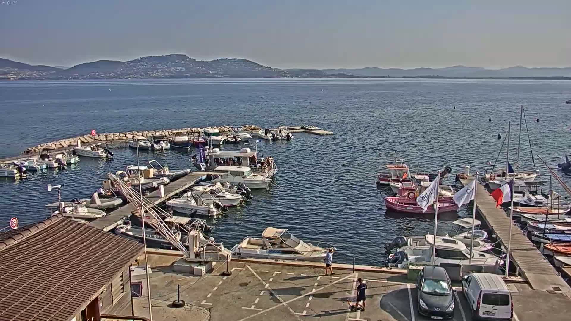 A marina filled with various boats is nestled against a calm body of water, with distant mountains visible under a clear sky.