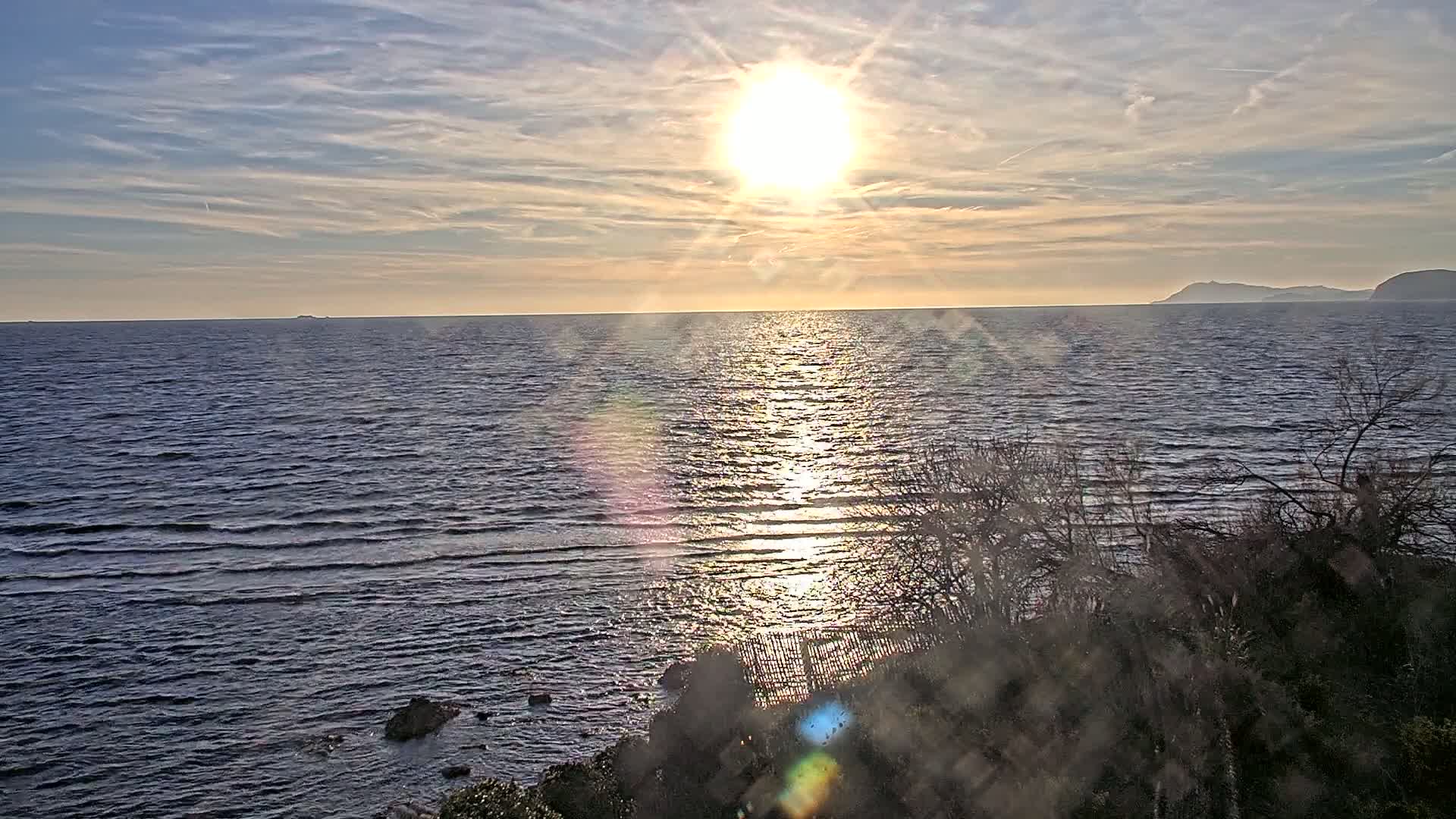 A bright sun shines over a calm sea, partially obscured by leafless bushes in the foreground, with a distant shoreline visible under a partly cloudy sky.