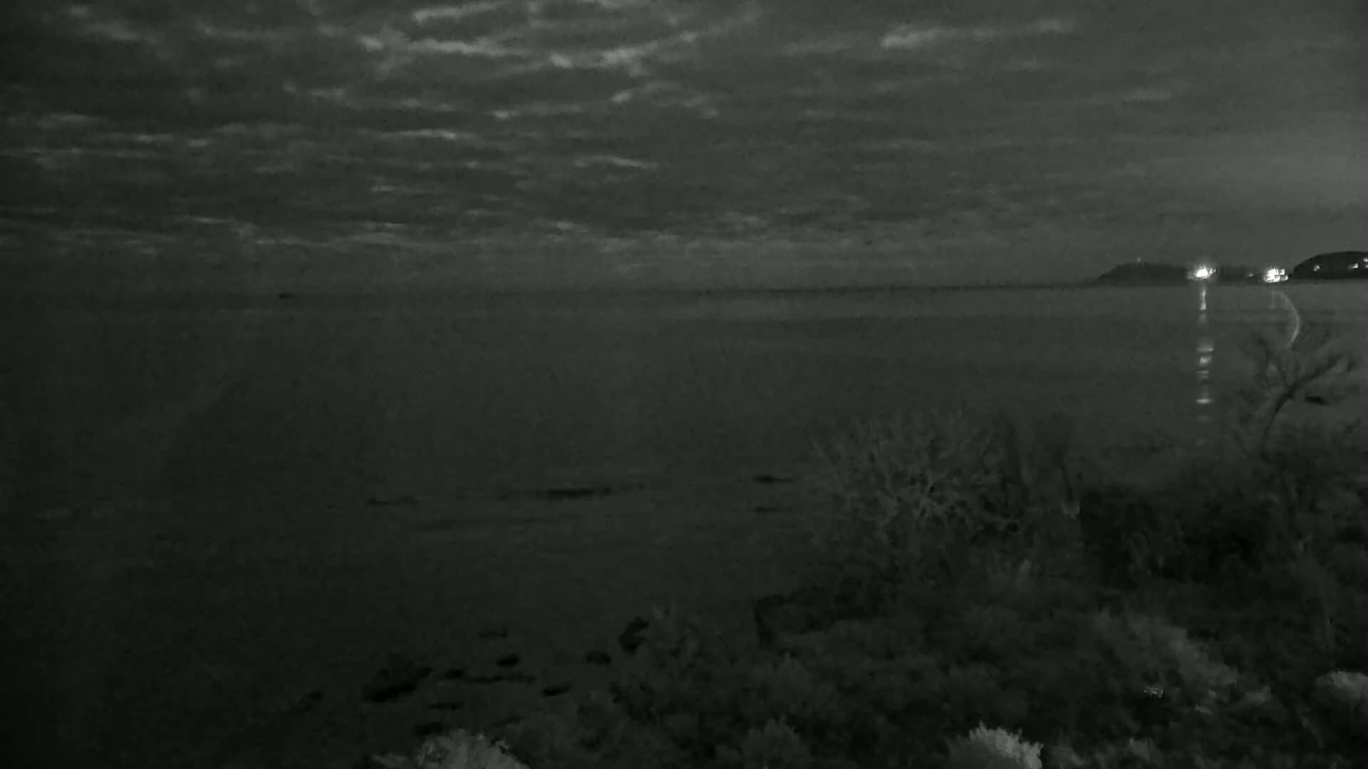 A dark, cloudy night scene shows a calm body of water extending to a distant shoreline with faint lights, viewed from a vantage point of low-lying vegetation.