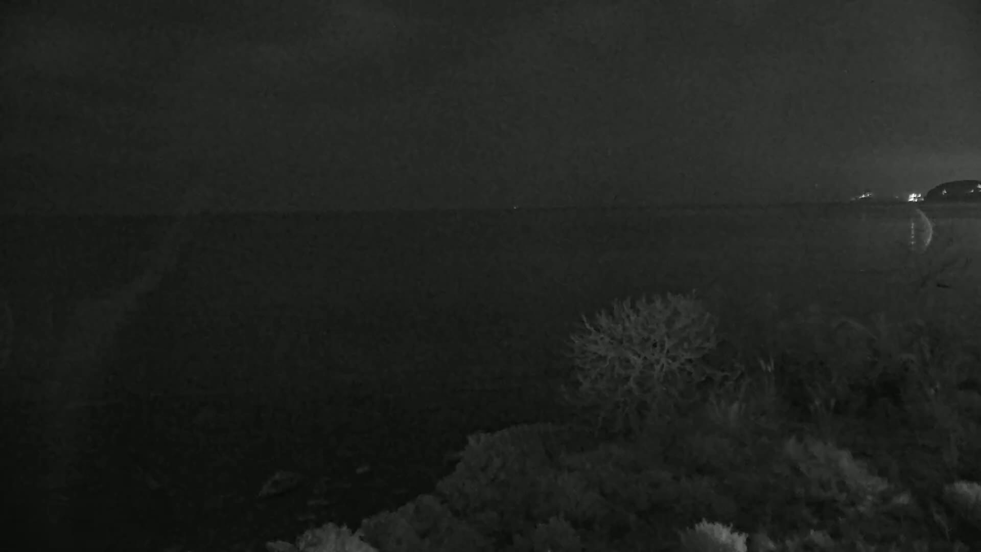 A dark, nighttime scene shows a body of water in the distance, with silhouetted shrubs and trees in the foreground under a mostly clear sky.