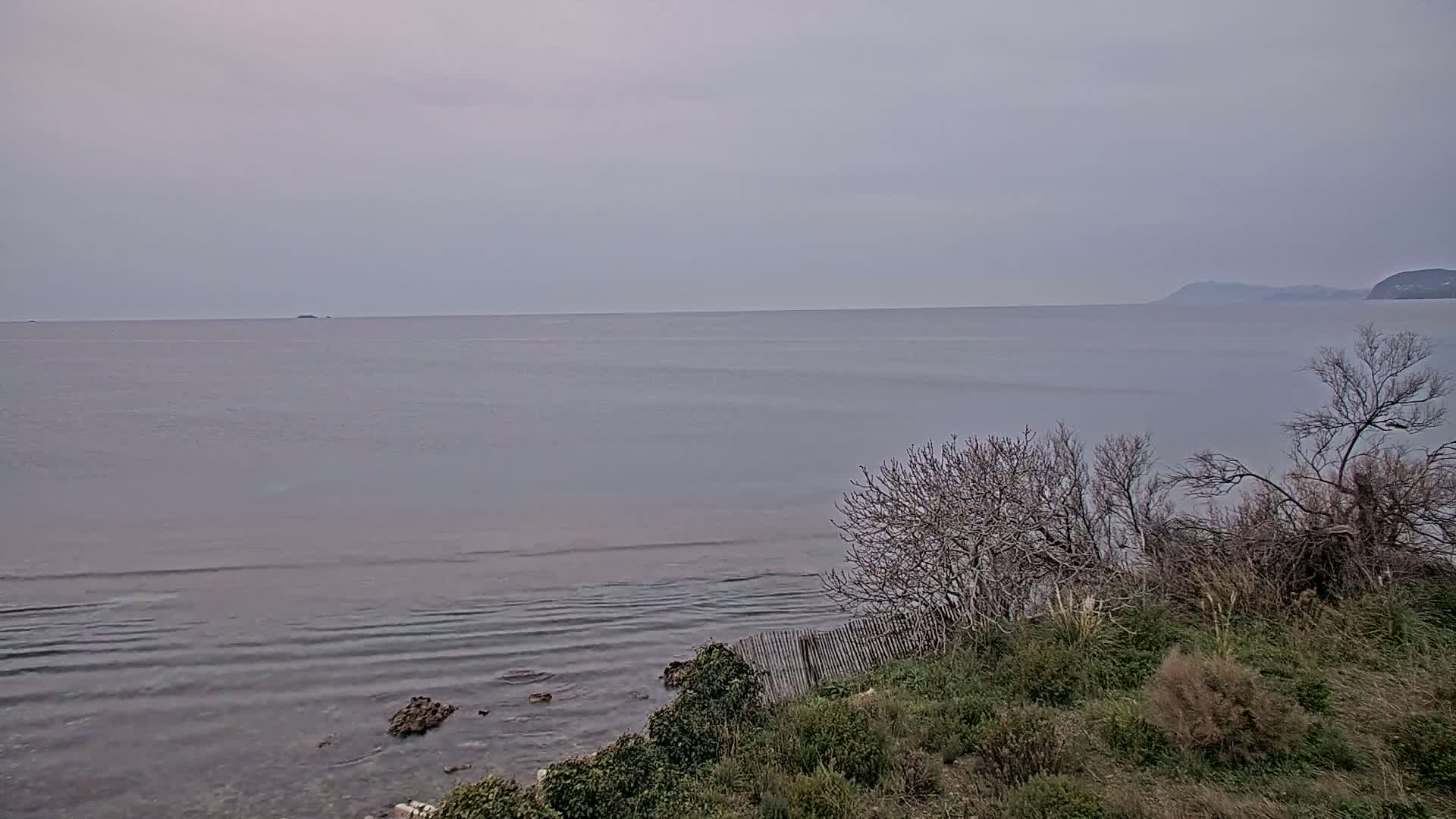 A calm, gray-colored sea stretches to a distant mountain under an overcast sky, viewed from a coastal area with bare bushes and green vegetation in the foreground.